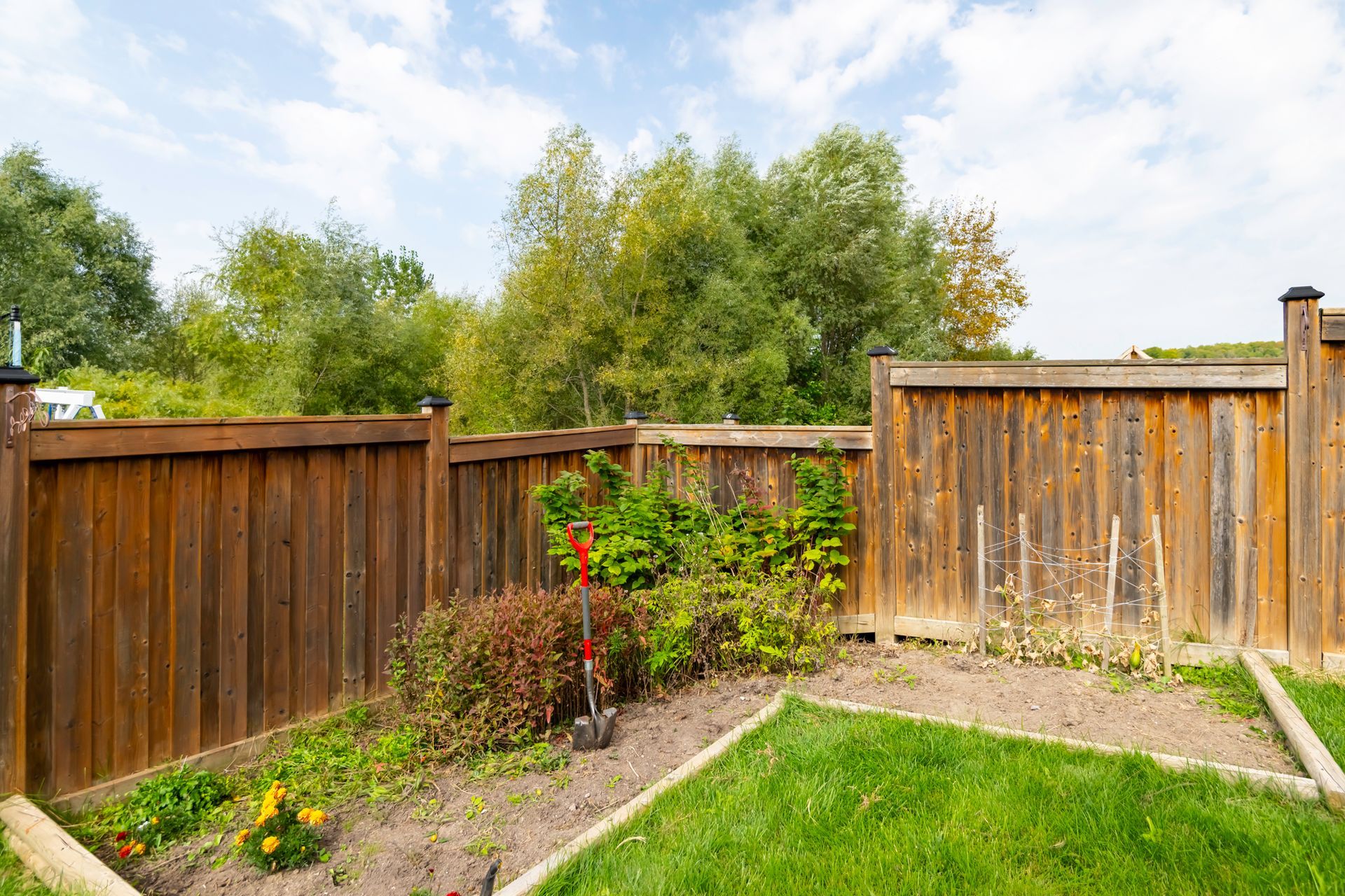 A wooden fence surrounds a garden in a backyard.