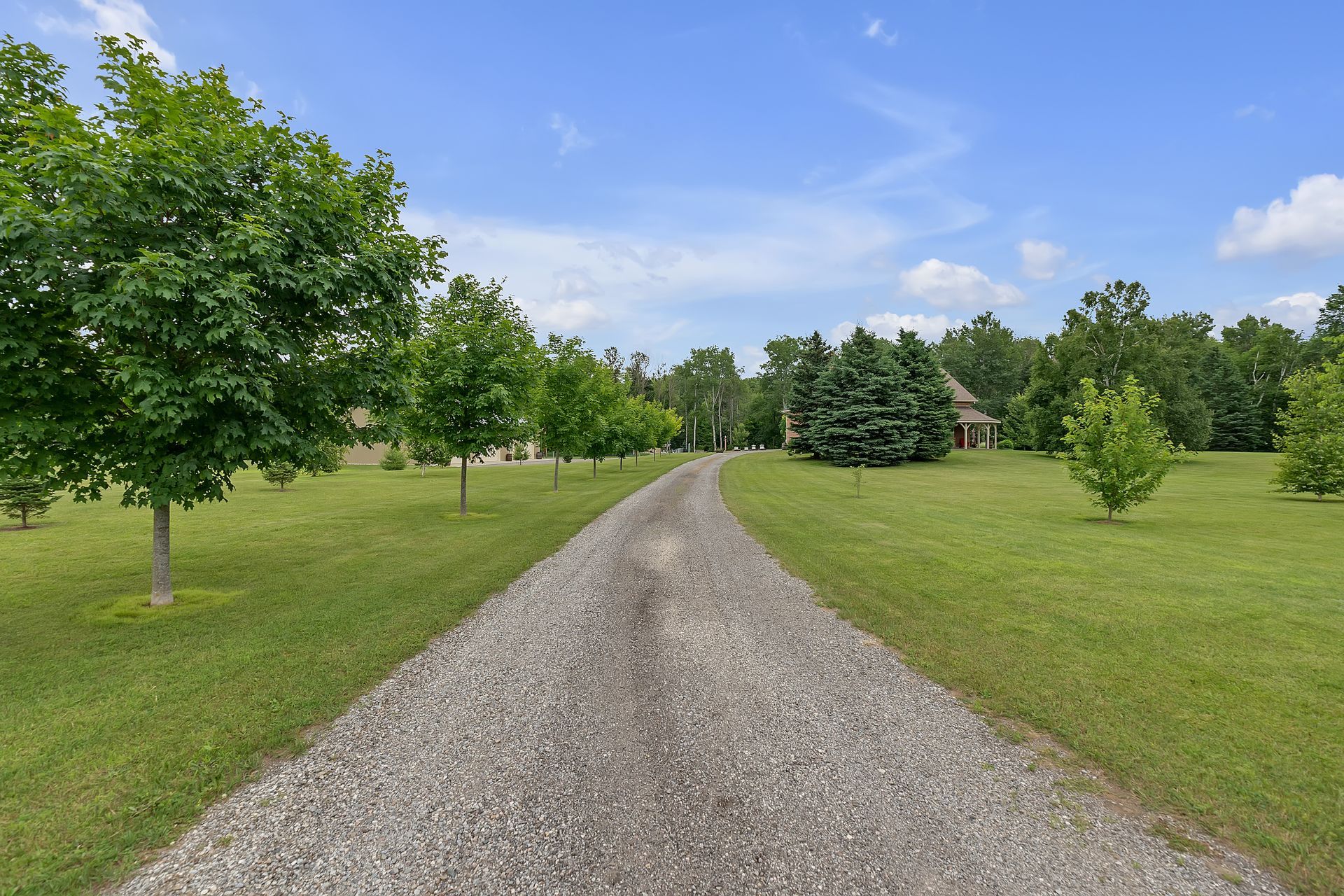 A gravel road going through a grassy field with trees on both sides