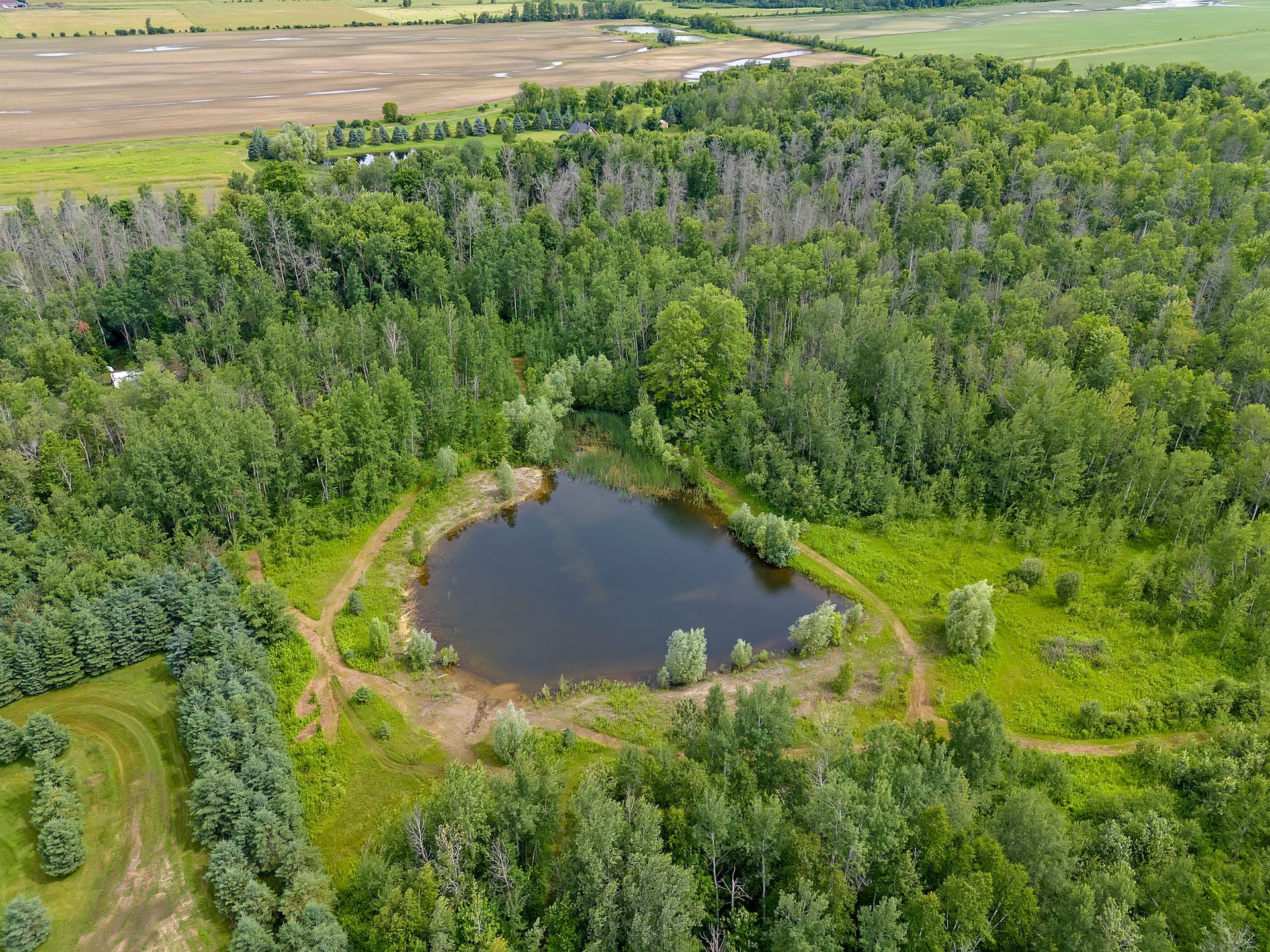 An aerial view of a small pond in the middle of a forest.