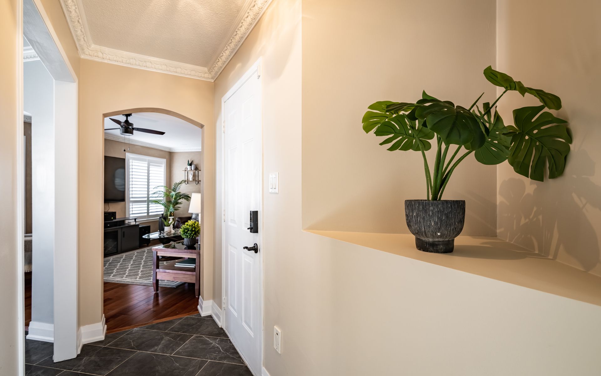 A potted plant is sitting on a shelf in a hallway.