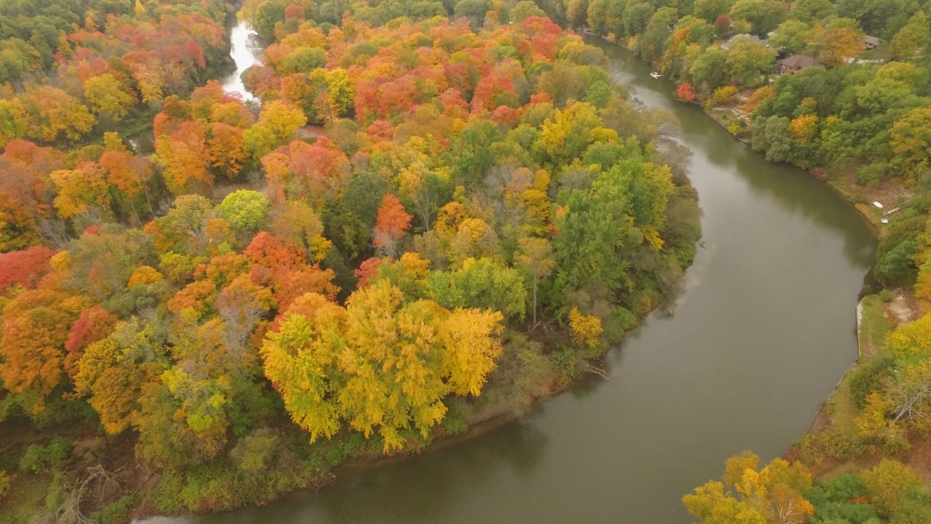 An aerial view of a river surrounded by trees in autumn.