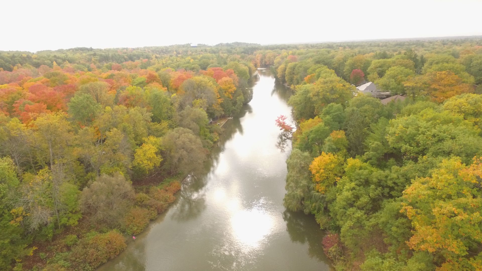 An aerial view of a river surrounded by trees in autumn.