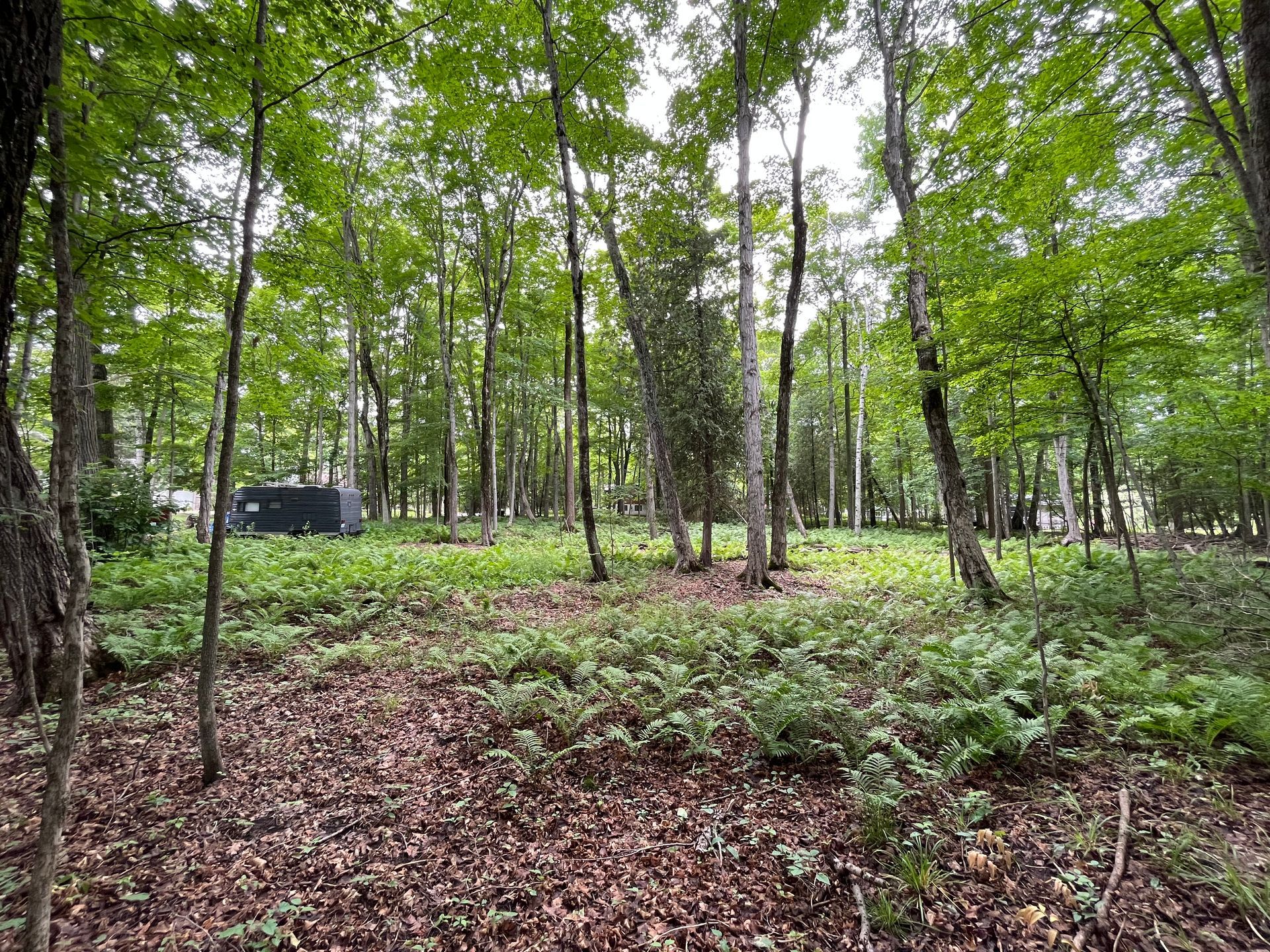 A tent is sitting in the middle of a forest surrounded by trees.