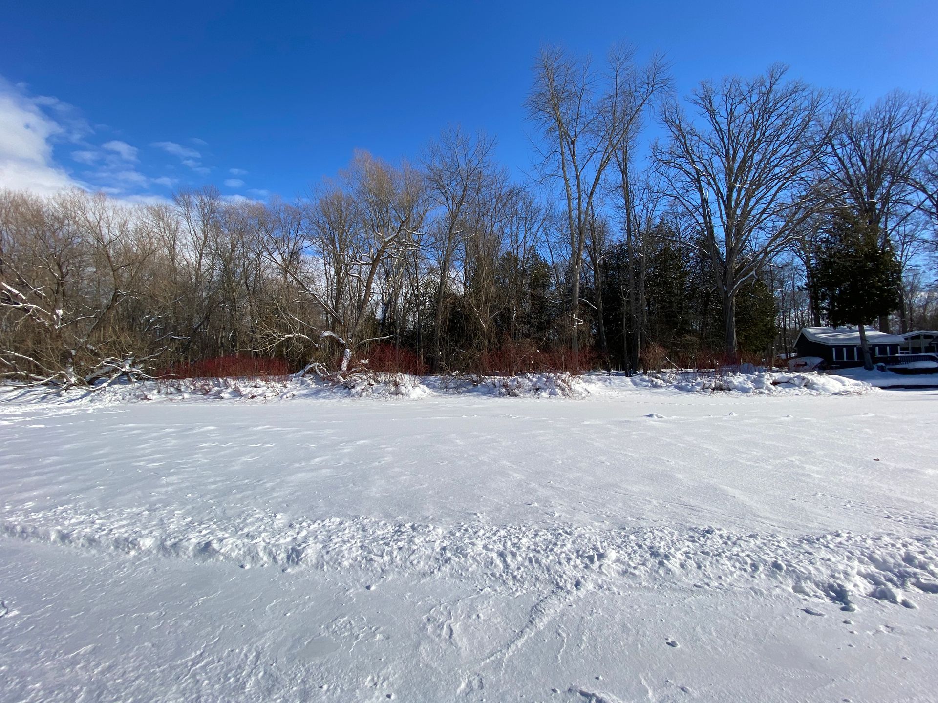 A snowy field with trees in the background on a sunny day.