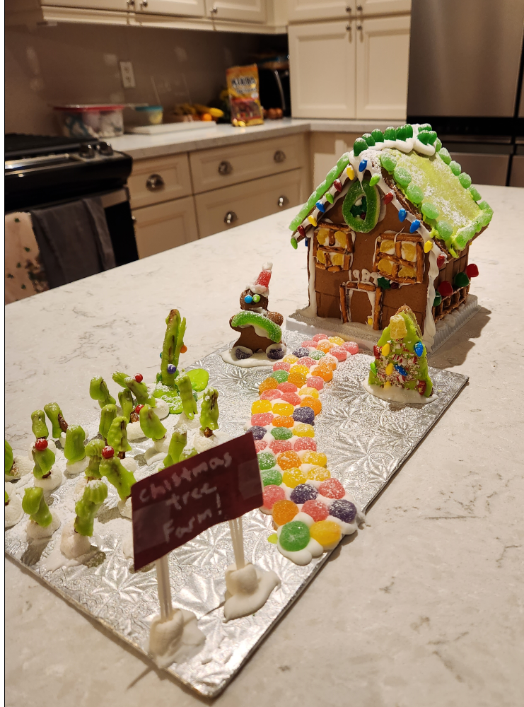 A gingerbread house is sitting on a counter in a kitchen.