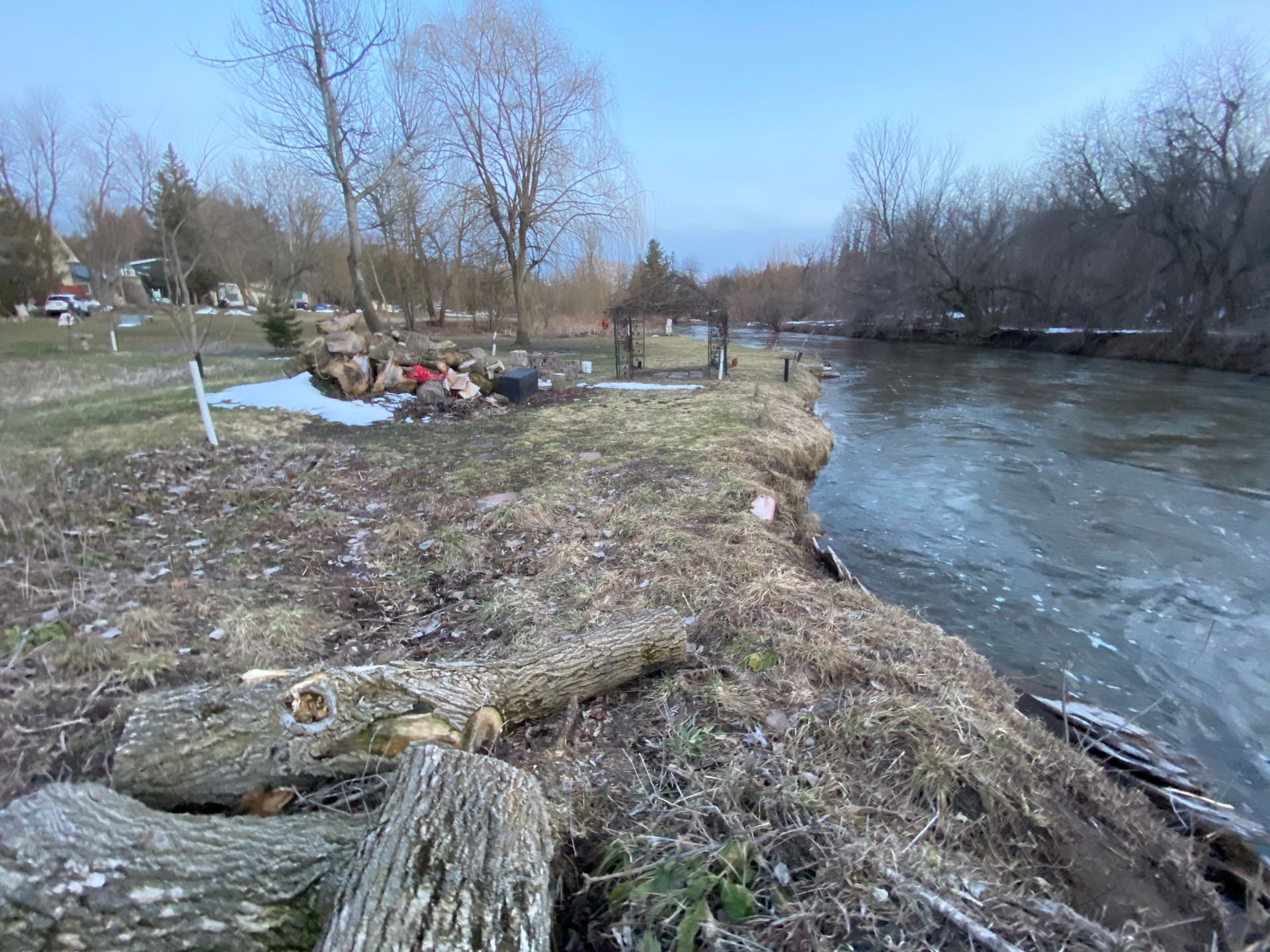 A river with a lot of logs on the shore