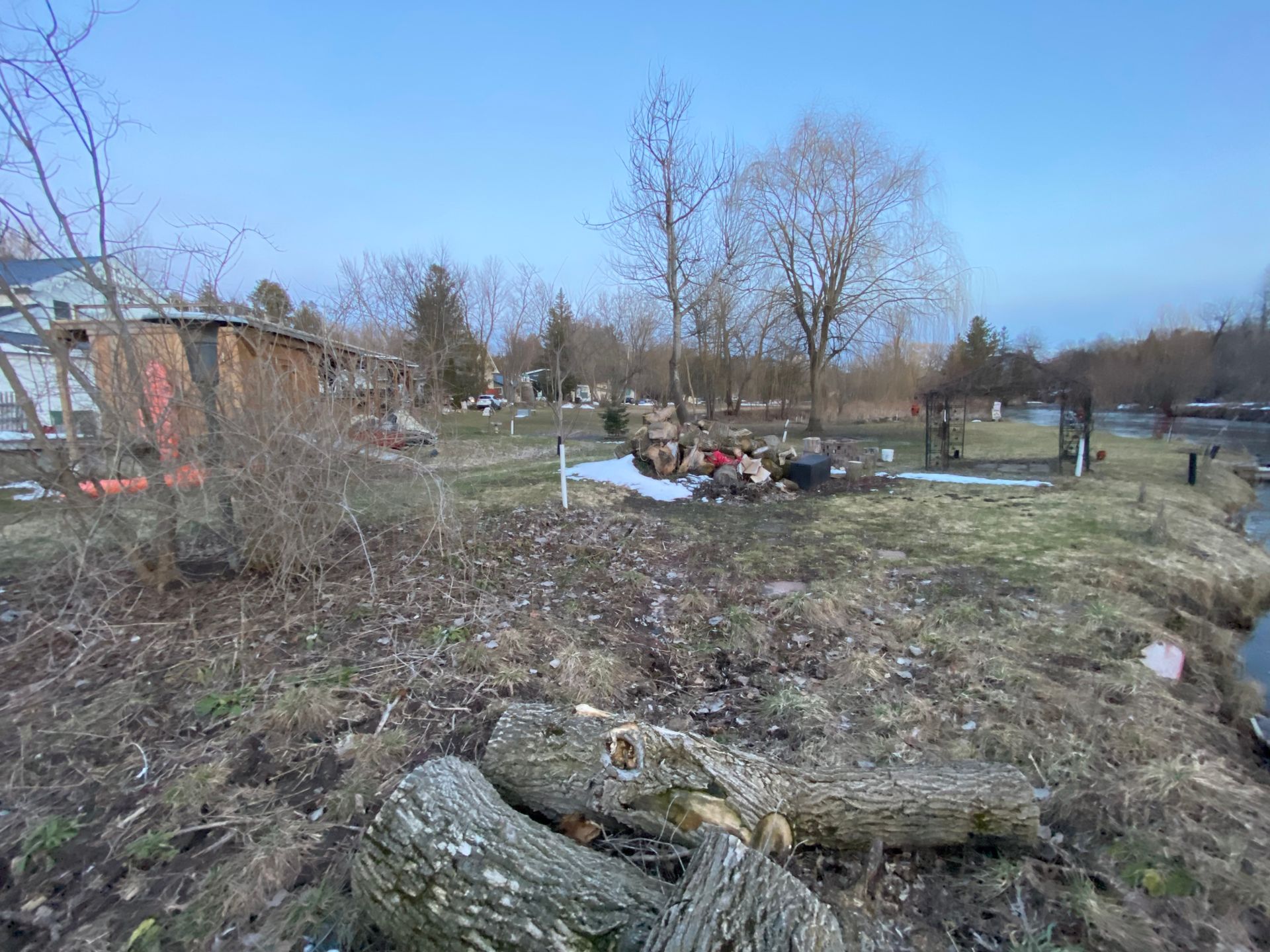 A lot of logs are laying on the ground in a field.