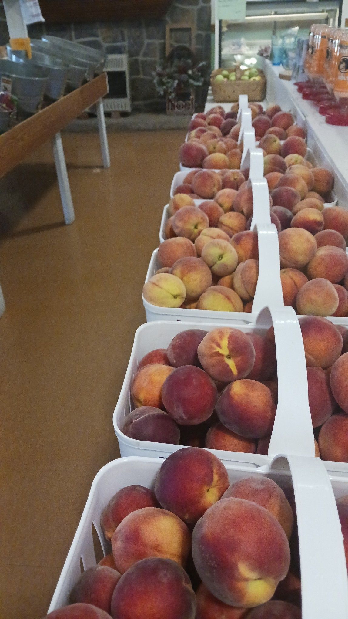 Peaches in white baskets at a farmers market, arranged on a long table.