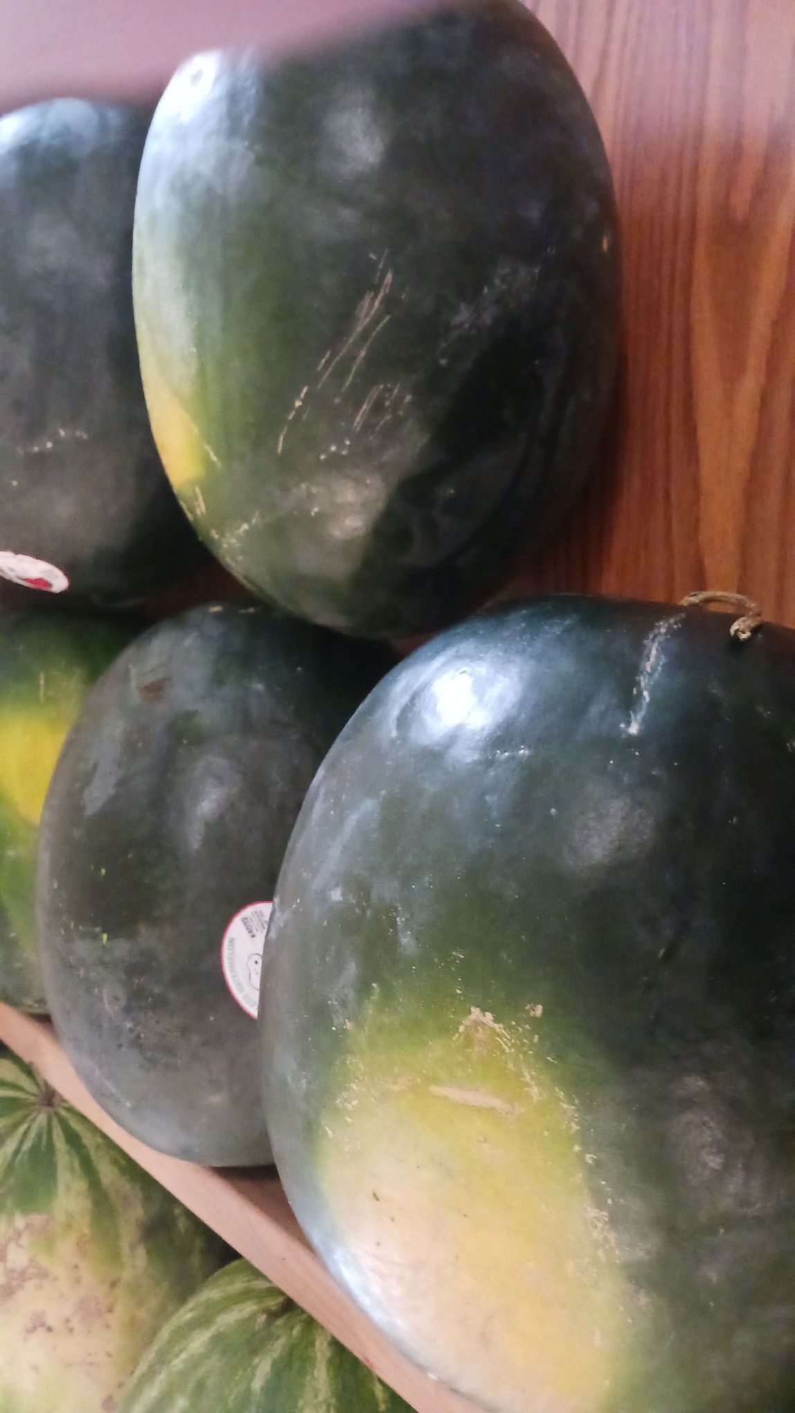 Watermelons stacked on a wooden shelf; green and yellow rind.