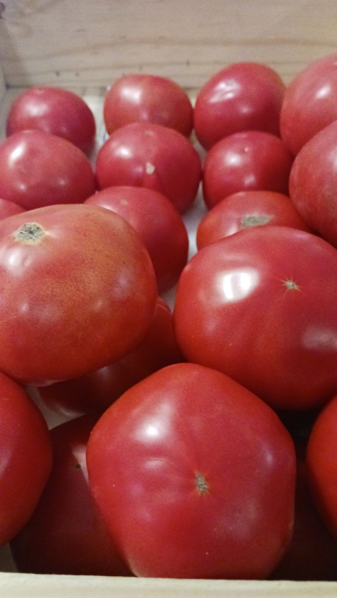 Red tomatoes, piled in a wooden crate, close-up view.