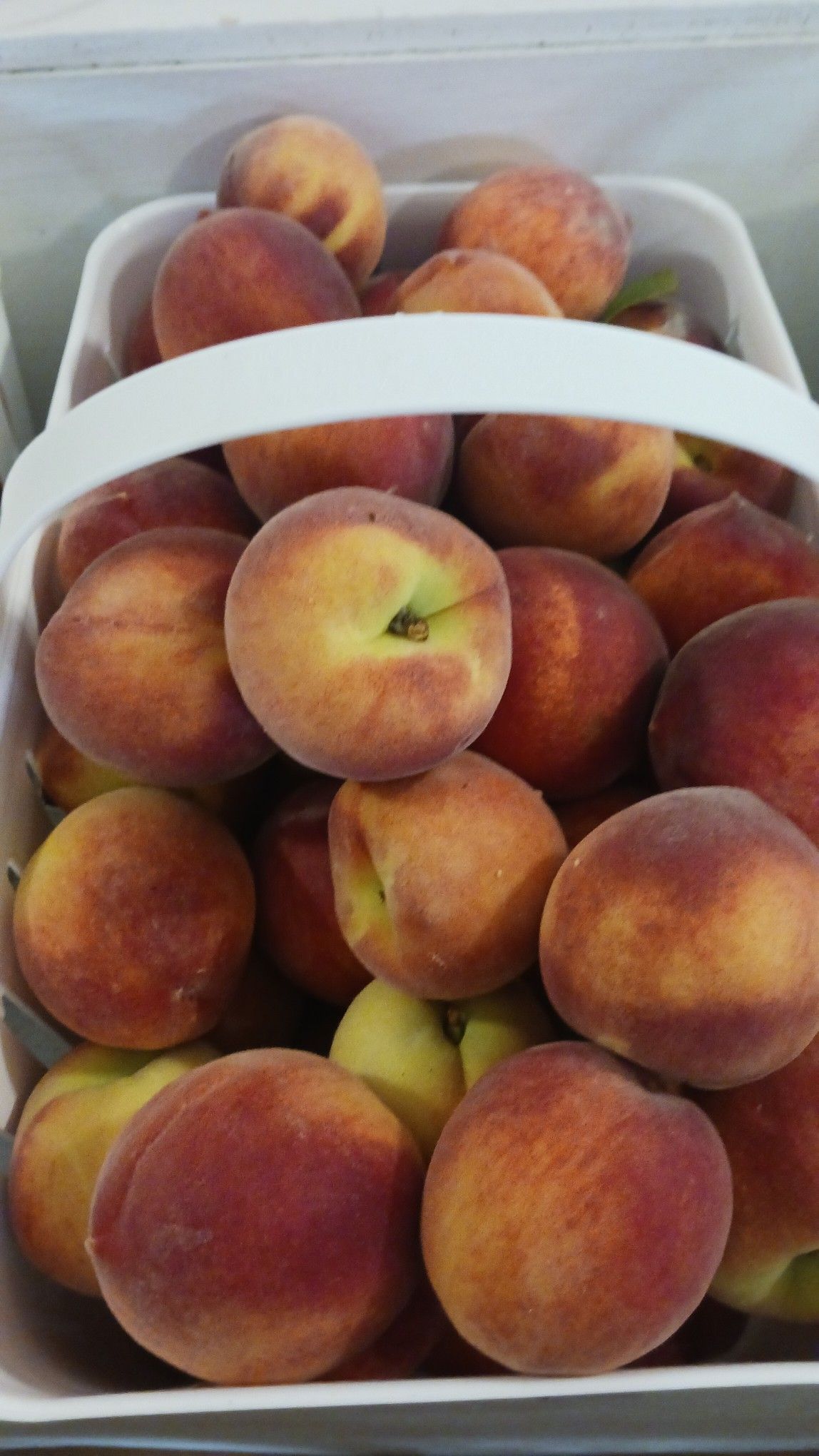 Basket overflowing with ripe peaches, varying shades of red and yellow.