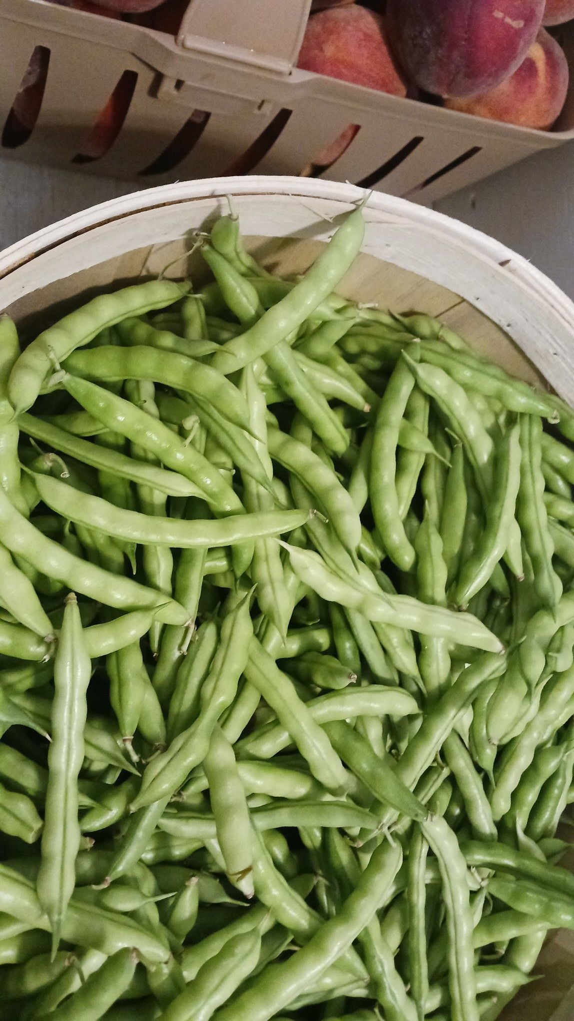 Basket of green beans.