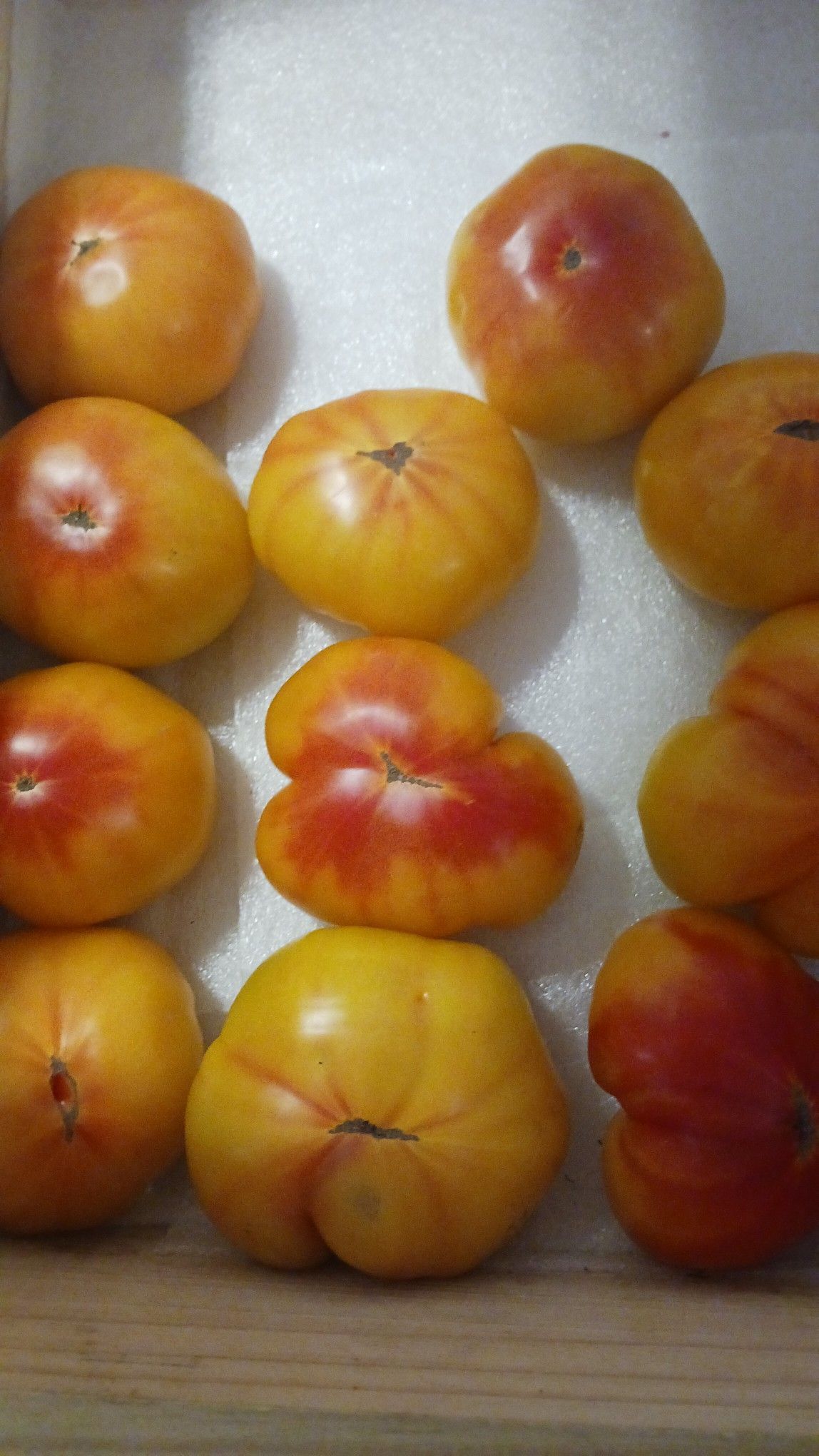 Yellow and red heirloom tomatoes arranged in a box.