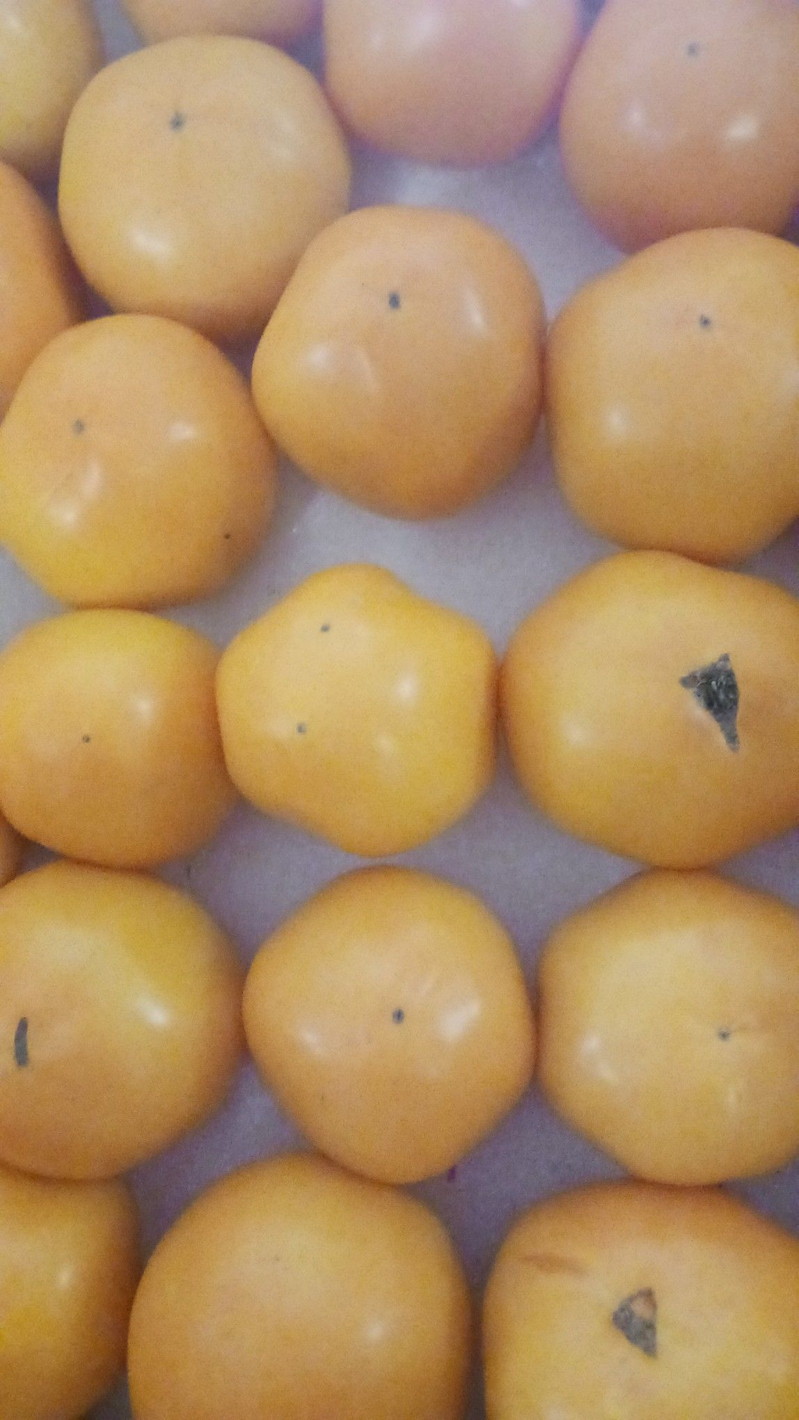 Close-up of several ripe, orange persimmons.