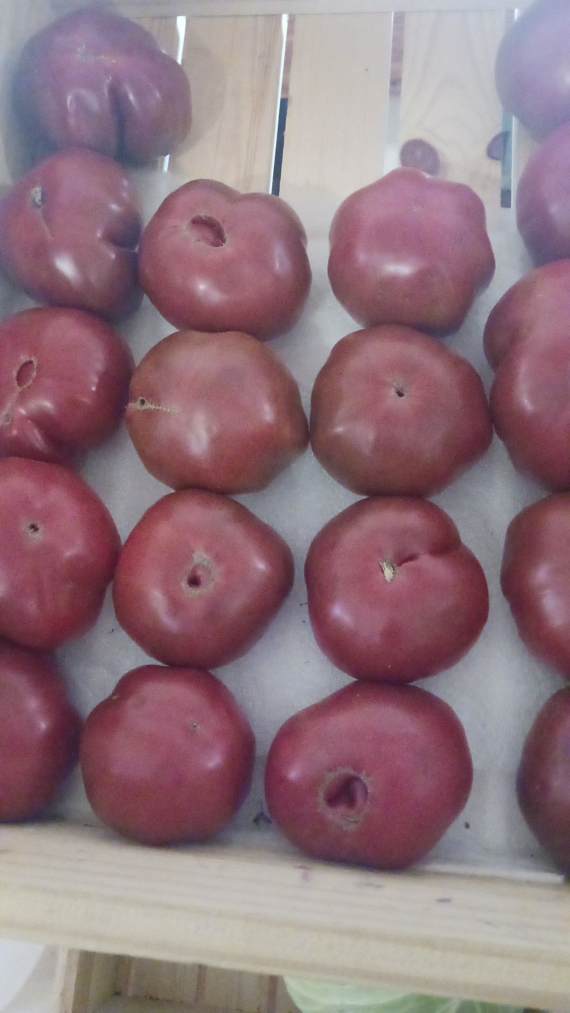 Rows of ripe, reddish-brown tomatoes in a wooden crate, some with small holes.