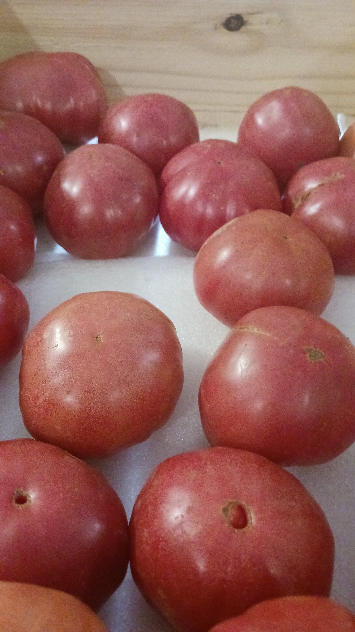 Red, slightly uneven tomatoes on a white surface, possibly a table or tray.