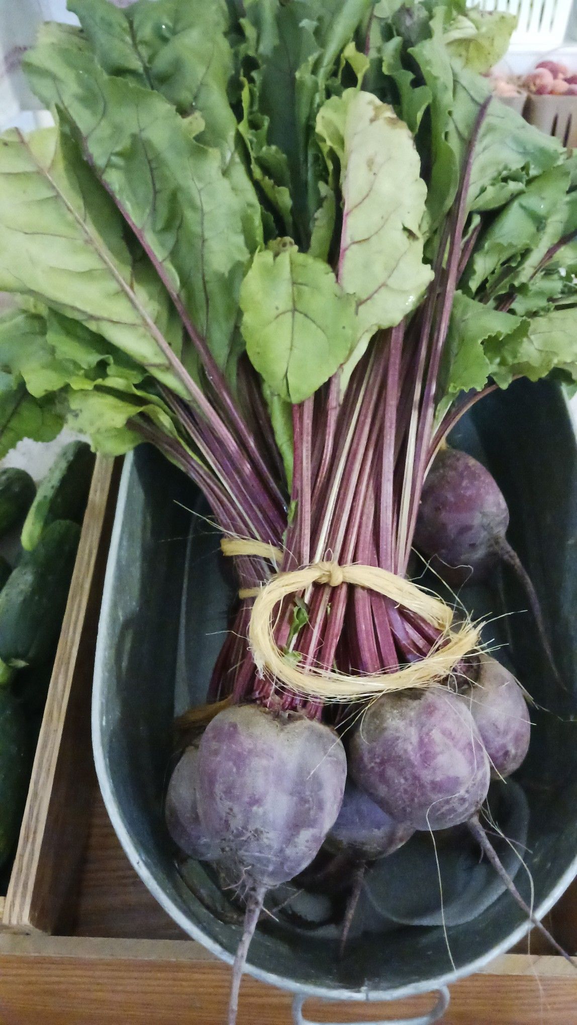 Bunch of beets in a metal container, with dark purple roots, purple and green stems, and leafy green tops.