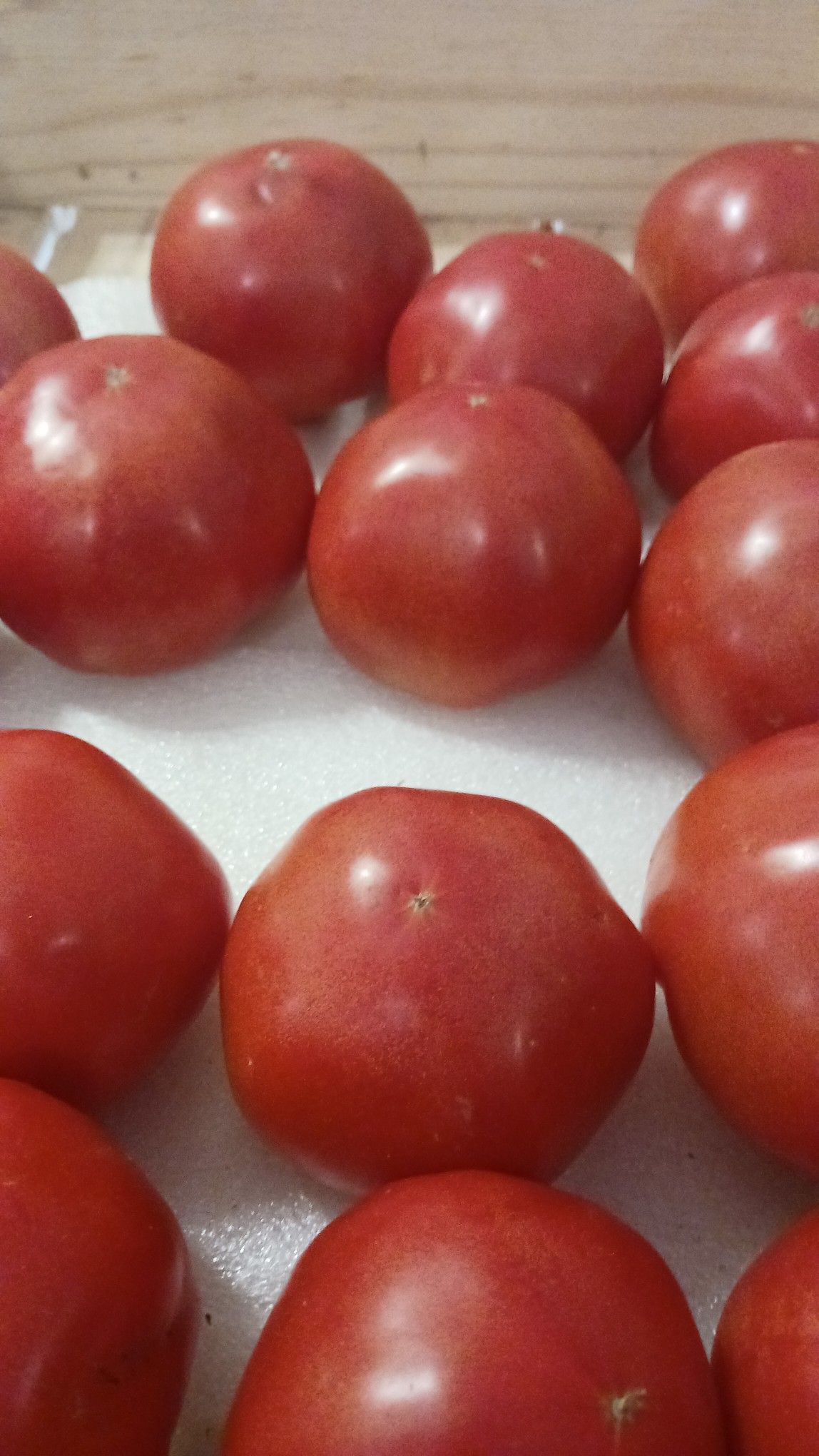 Close-up of ripe, red tomatoes resting in a white container.