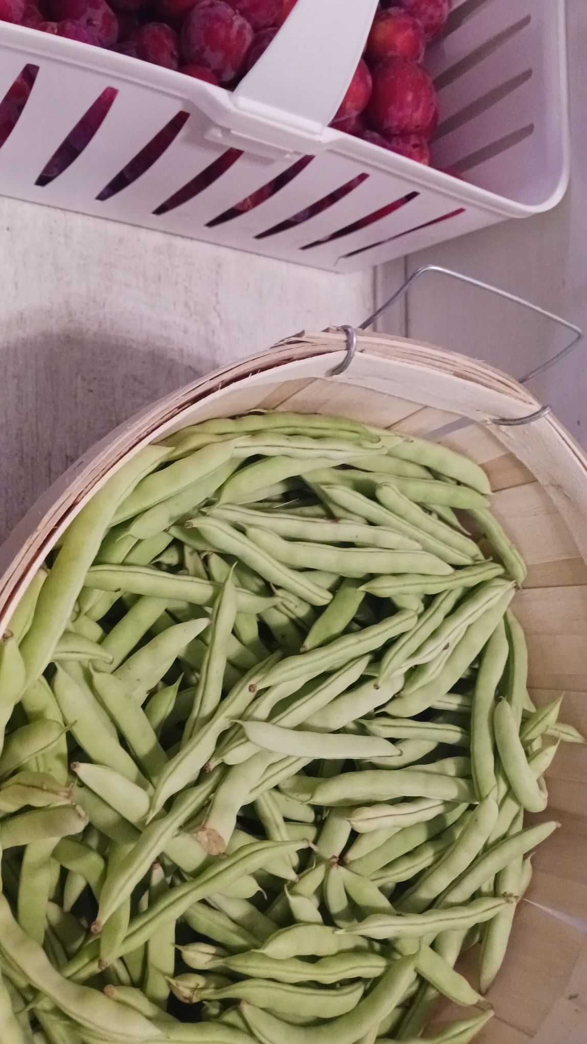 Green beans in a wooden basket with a white plastic basket of red raspberries above.
