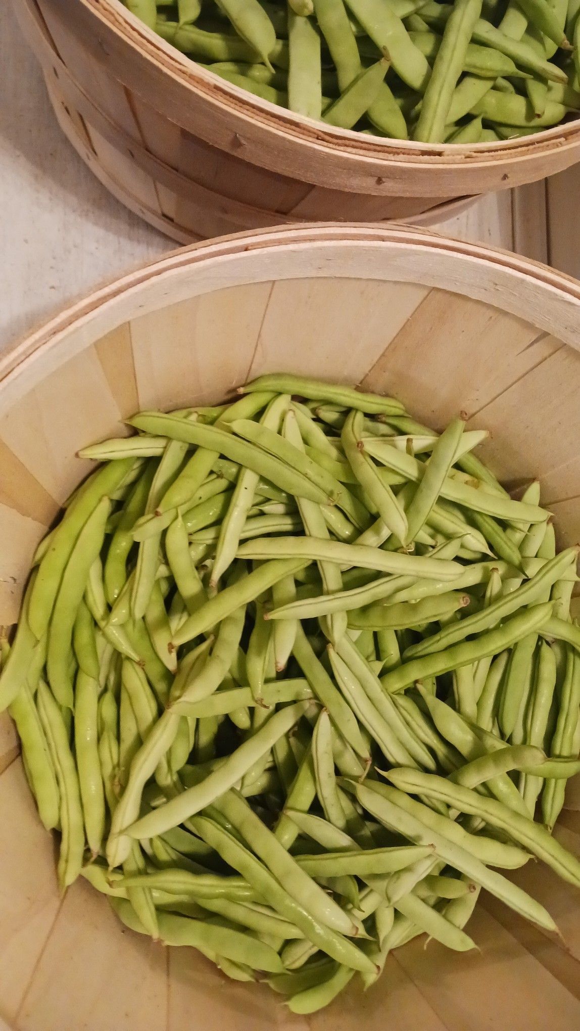 Two wooden baskets filled with fresh green beans.