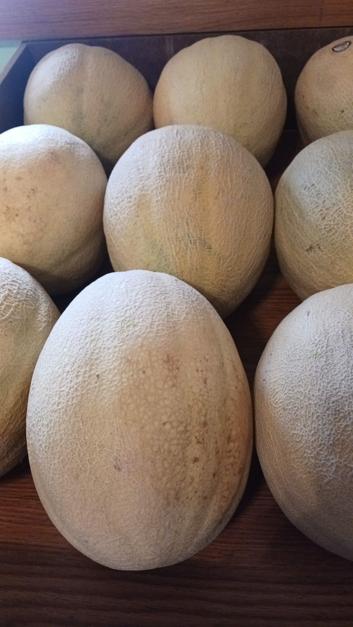 Cantaloupe melons in a wooden drawer, beige rind, close-up view.