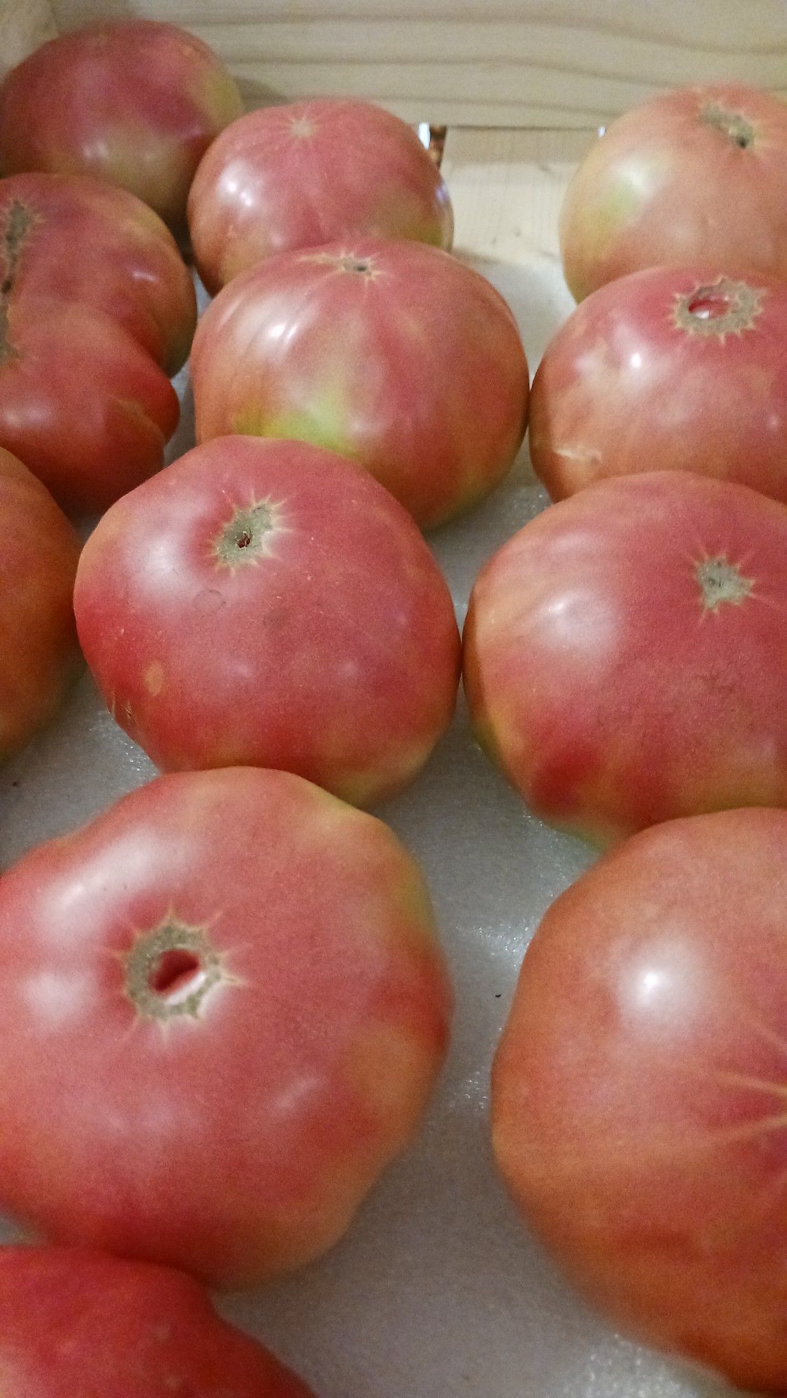Close-up of a display of pinkish-red tomatoes with green-tinged bottoms in a wooden box.