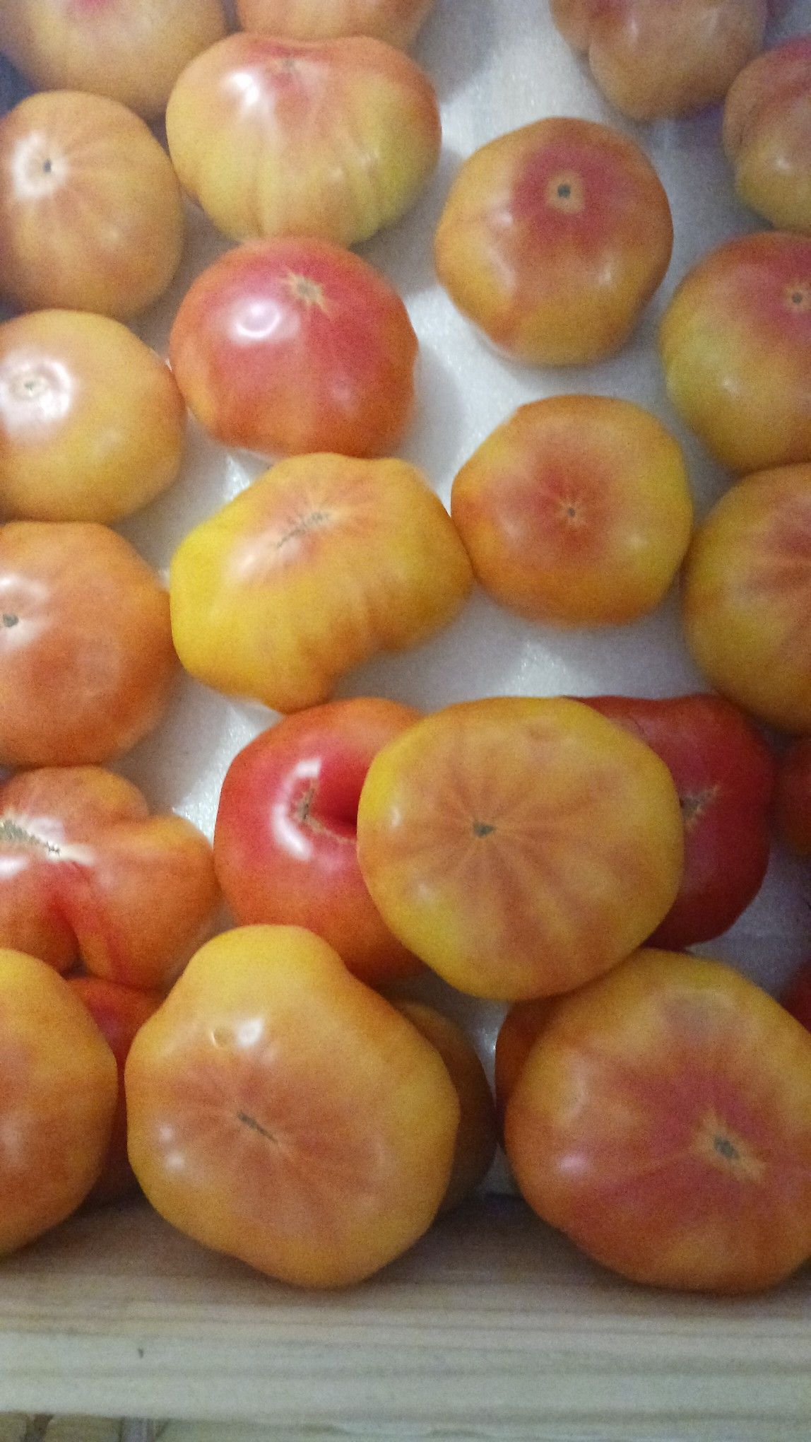 Tomatoes, yellow-orange with red highlights, arranged in a wooden crate.