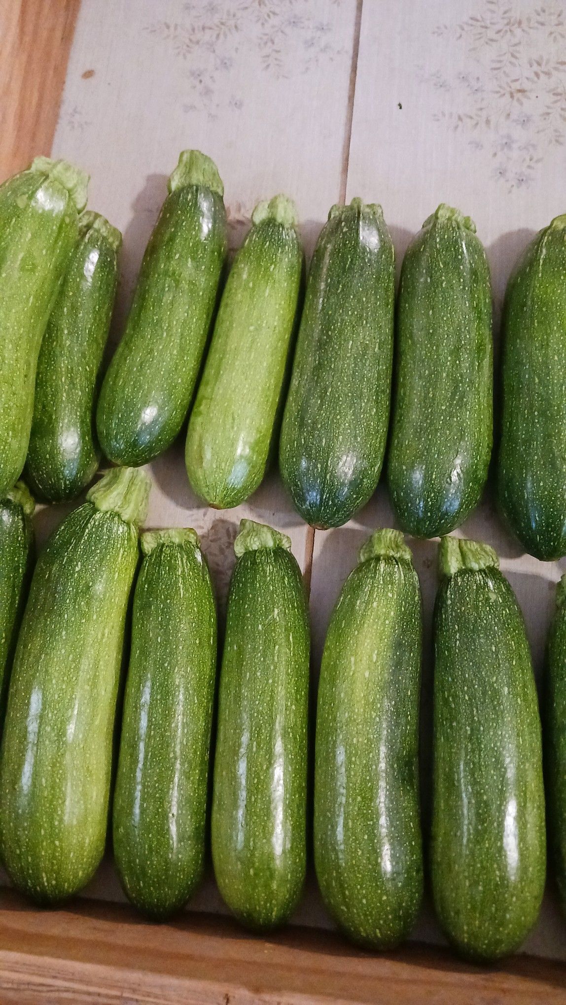 Green zucchini vegetables arranged on a wooden surface.