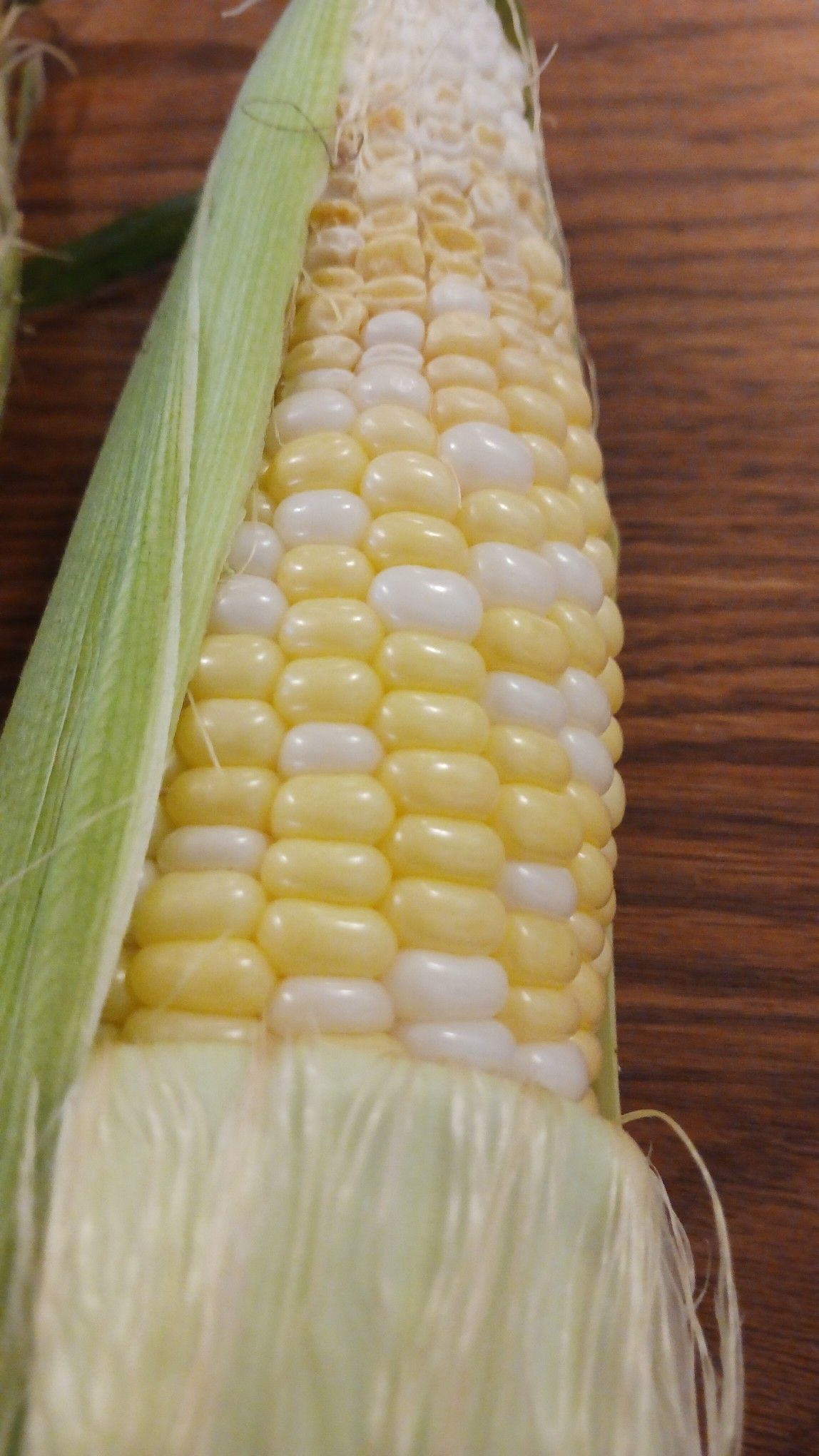 Cob of corn with alternating yellow and white kernels, partly husked on a wooden table.