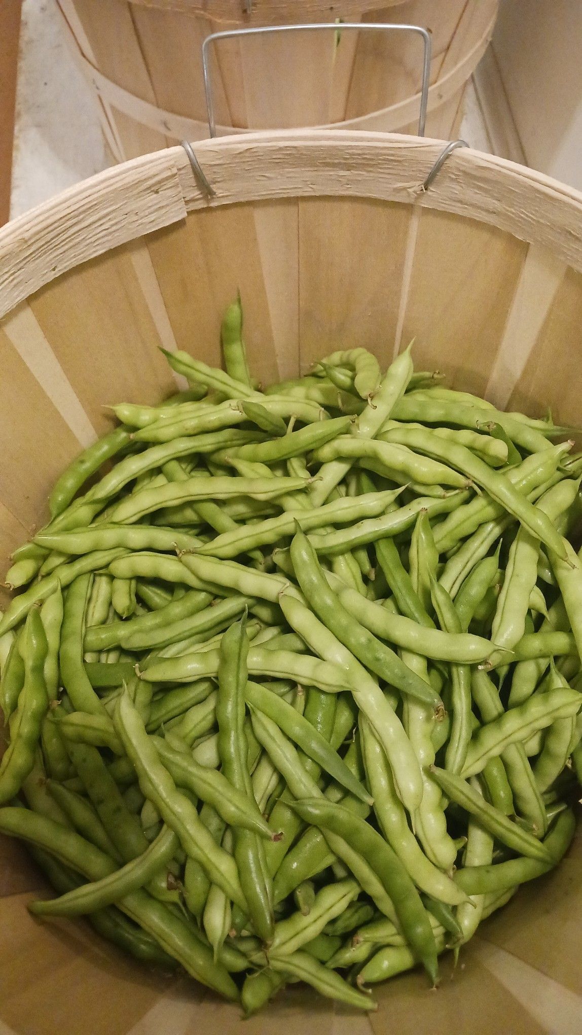 Green beans overflowing from a wooden basket.