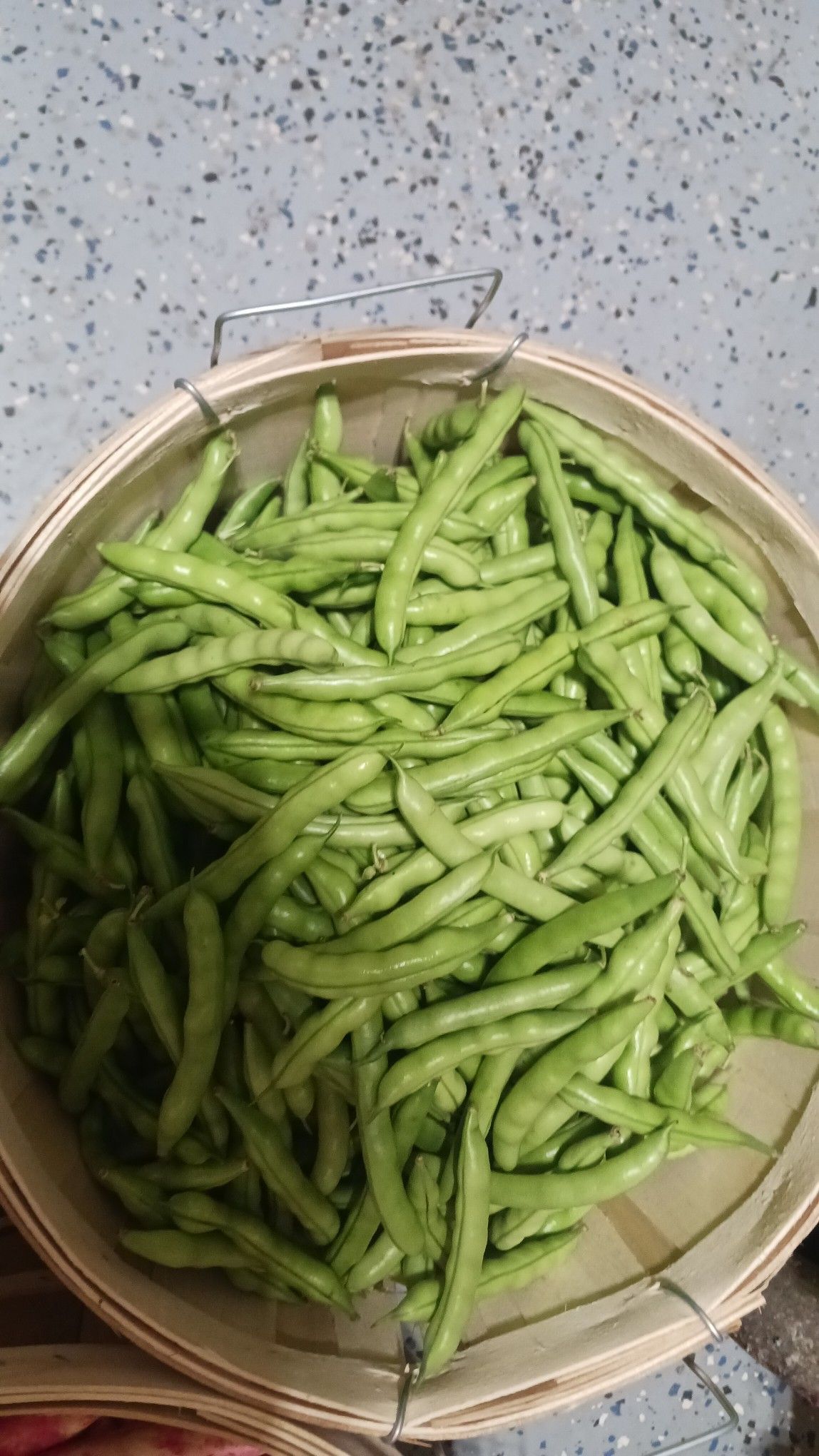 Green beans in a round woven basket.
