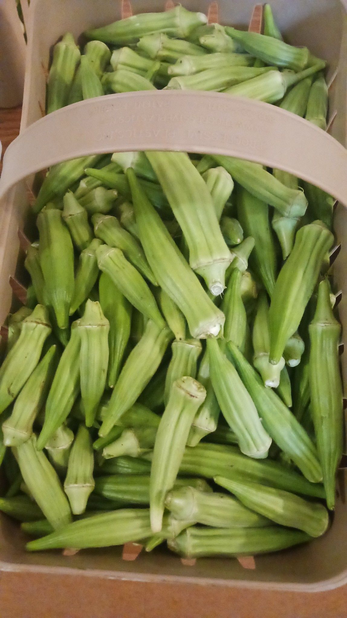 Basket overflowing with green okra.