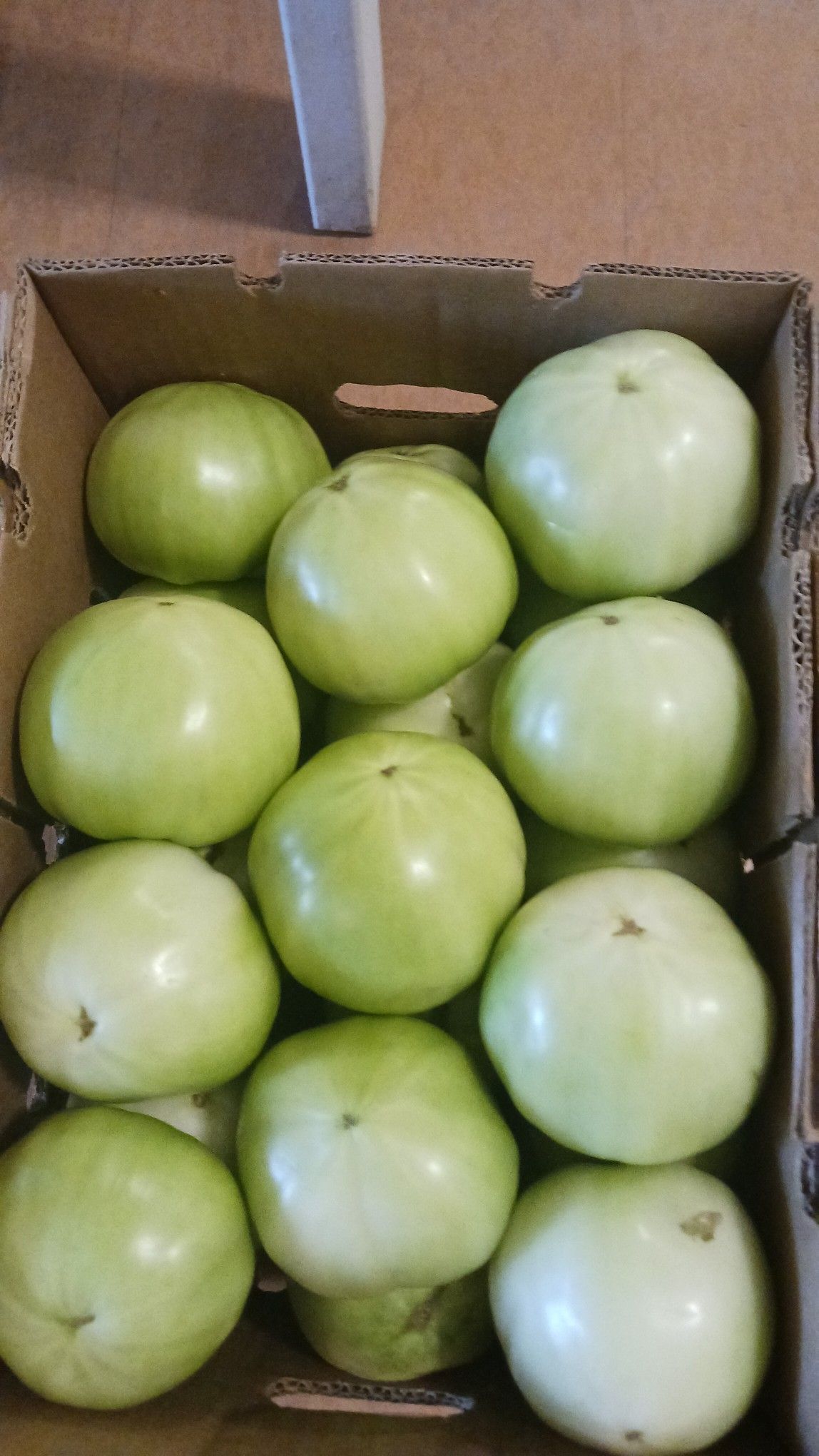Green tomatoes in a cardboard box.