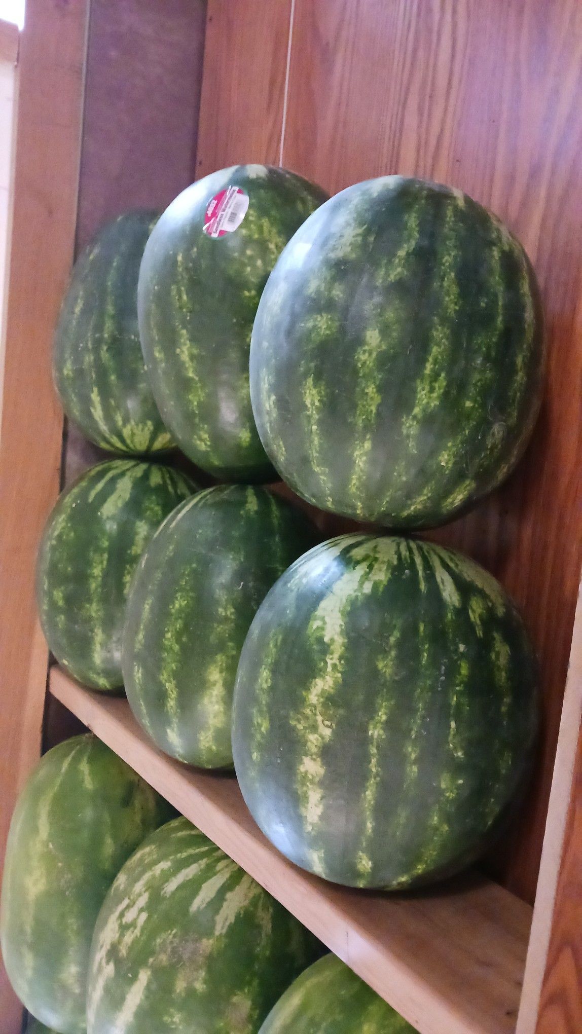 Watermelons stacked on wooden shelves in a store display.