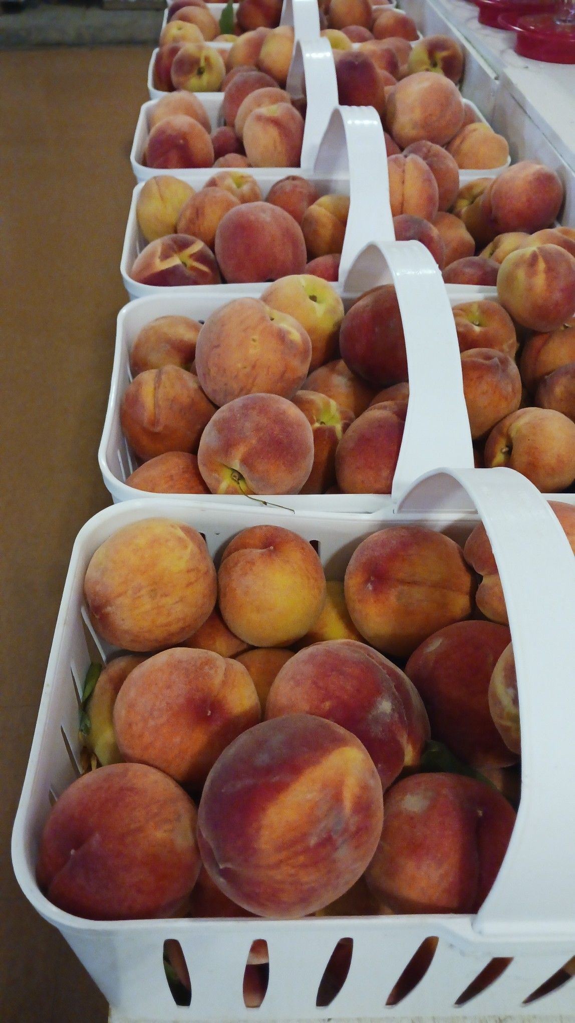 Baskets of ripe peaches, displayed for sale. Peaches are orange and red, in white baskets.