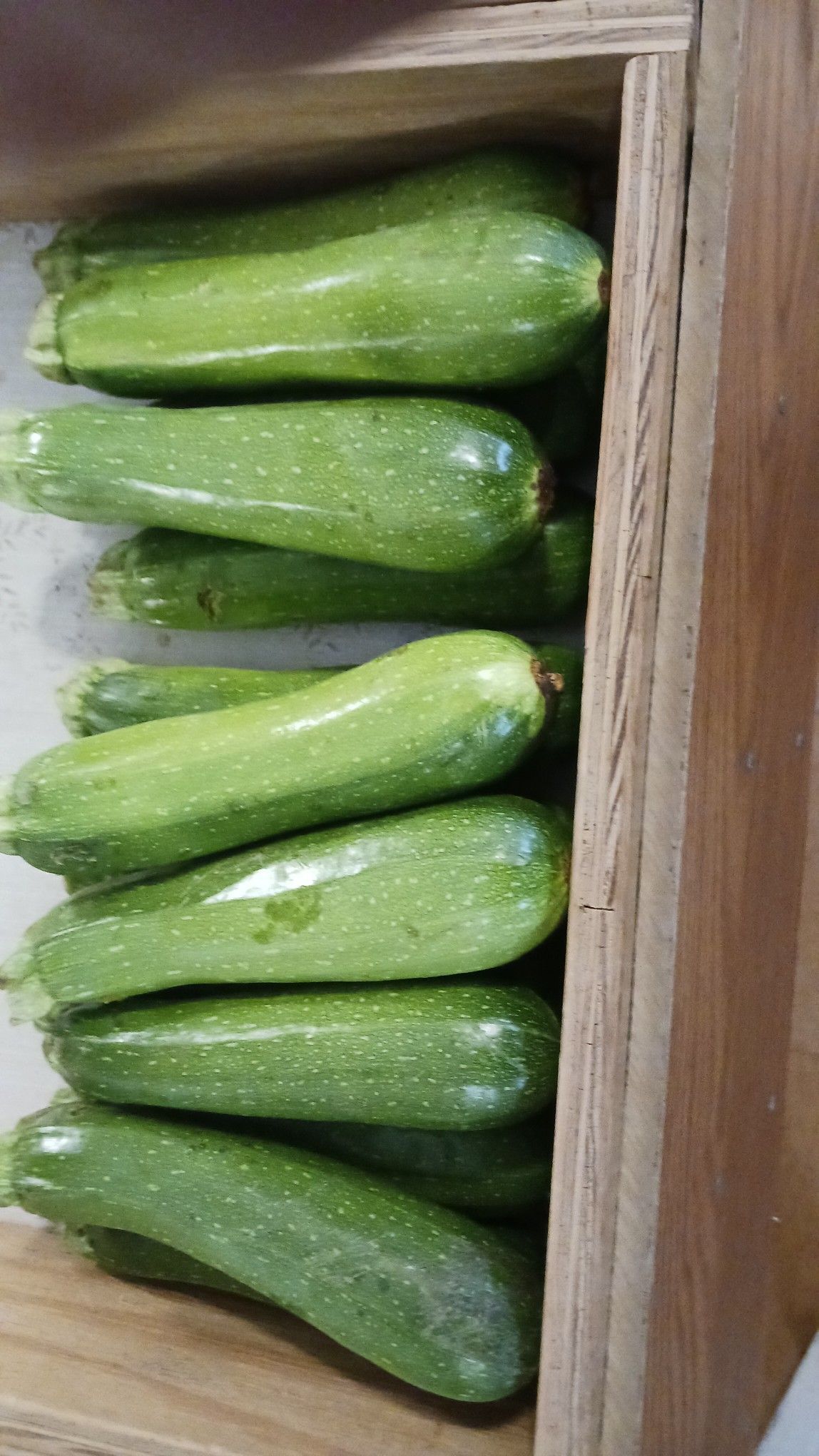 Zucchini in a wooden crate, green with light speckles.