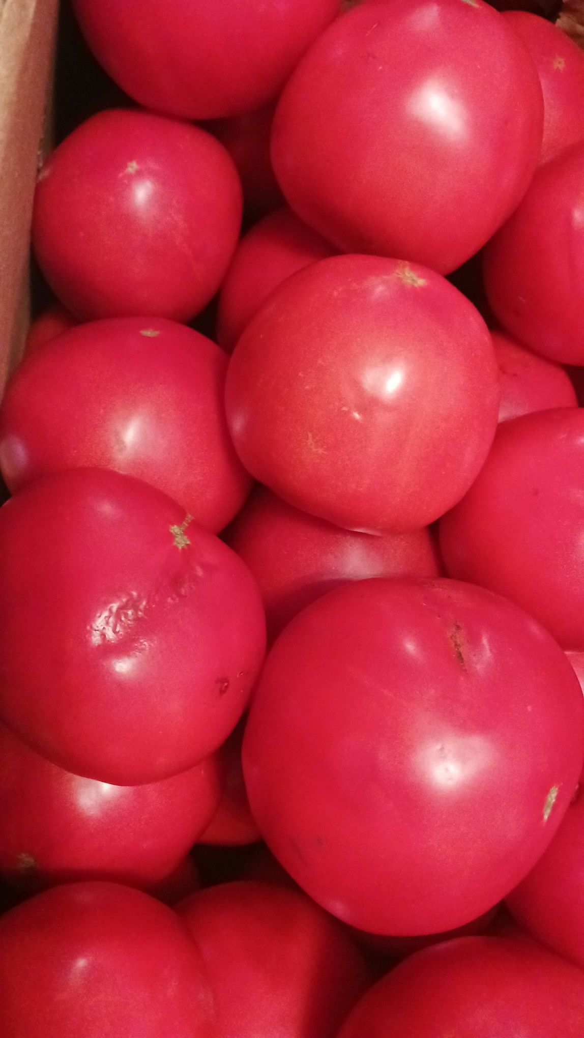 Pile of ripe, vibrant pink tomatoes.