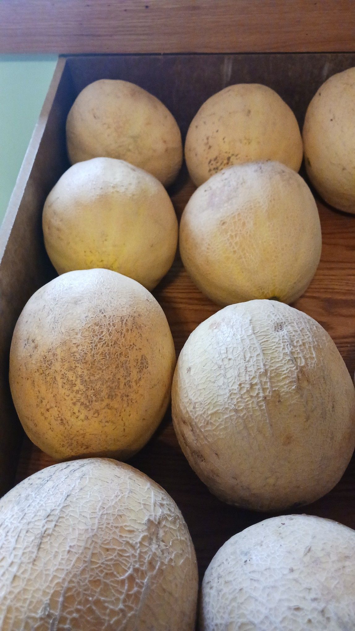 Cantaloupe melons in a wooden crate, beige with slightly textured rinds.