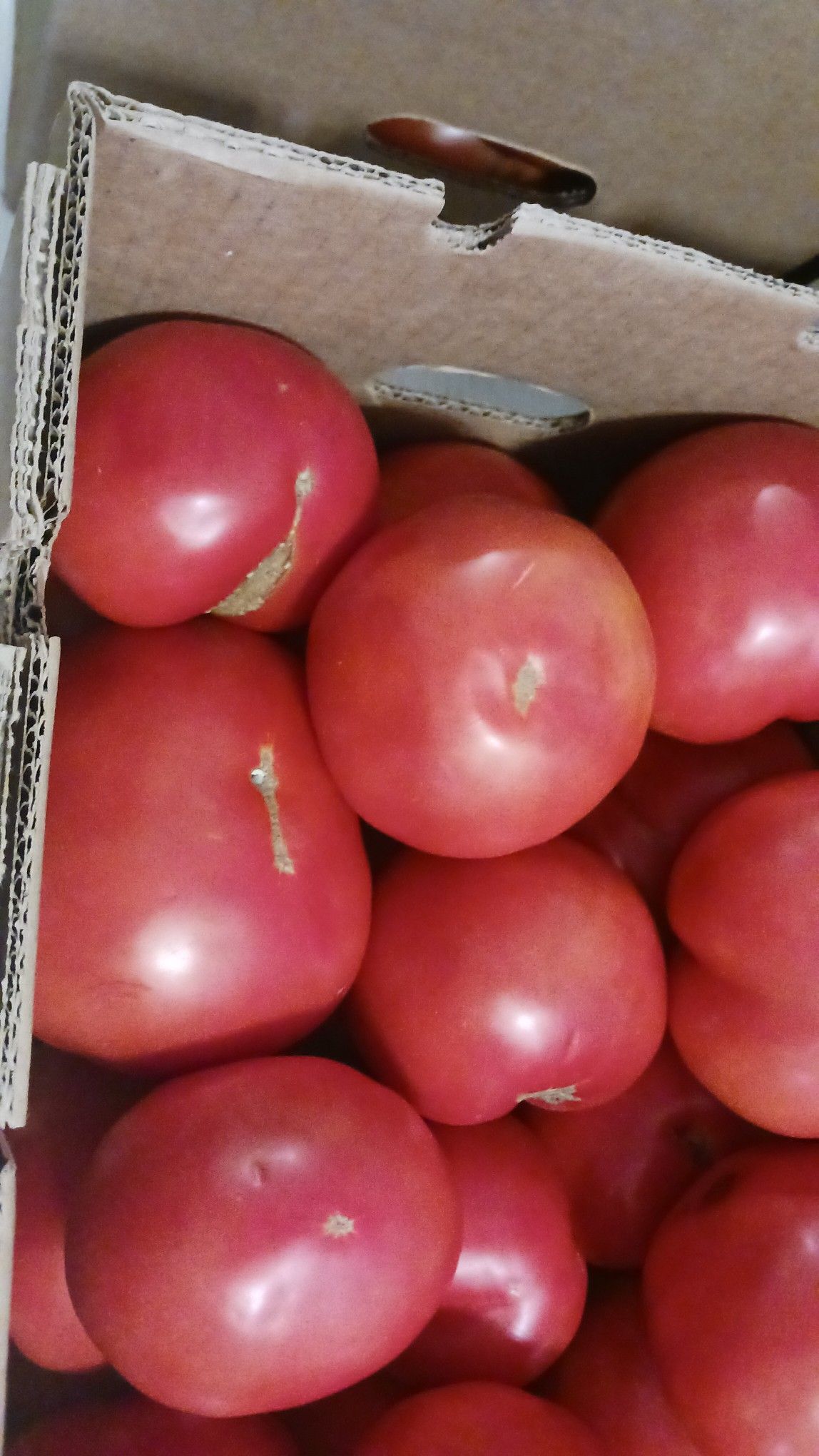 Box of ripe red tomatoes.