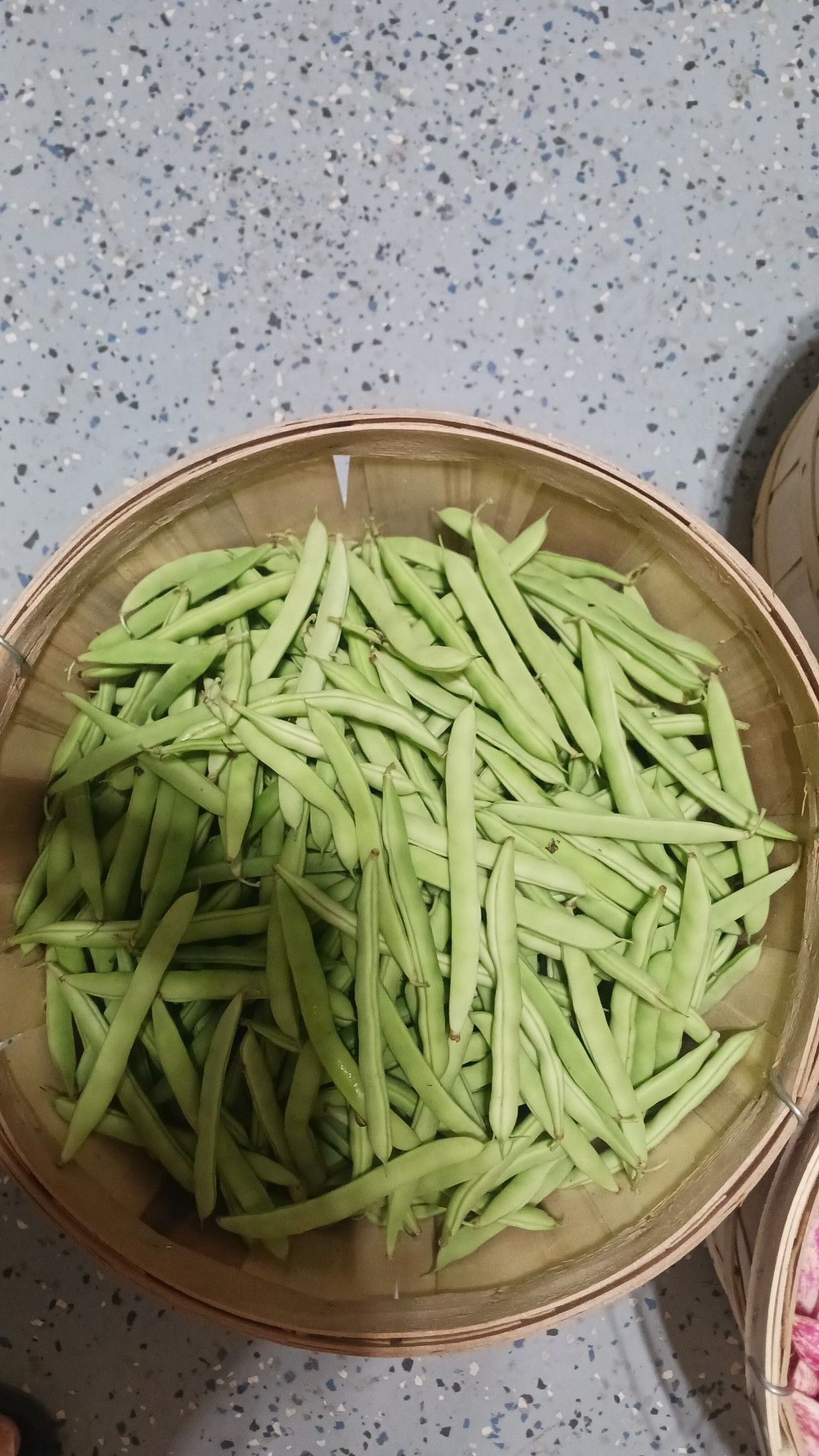 A bowl of fresh green string beans, close-up, on a speckled surface.