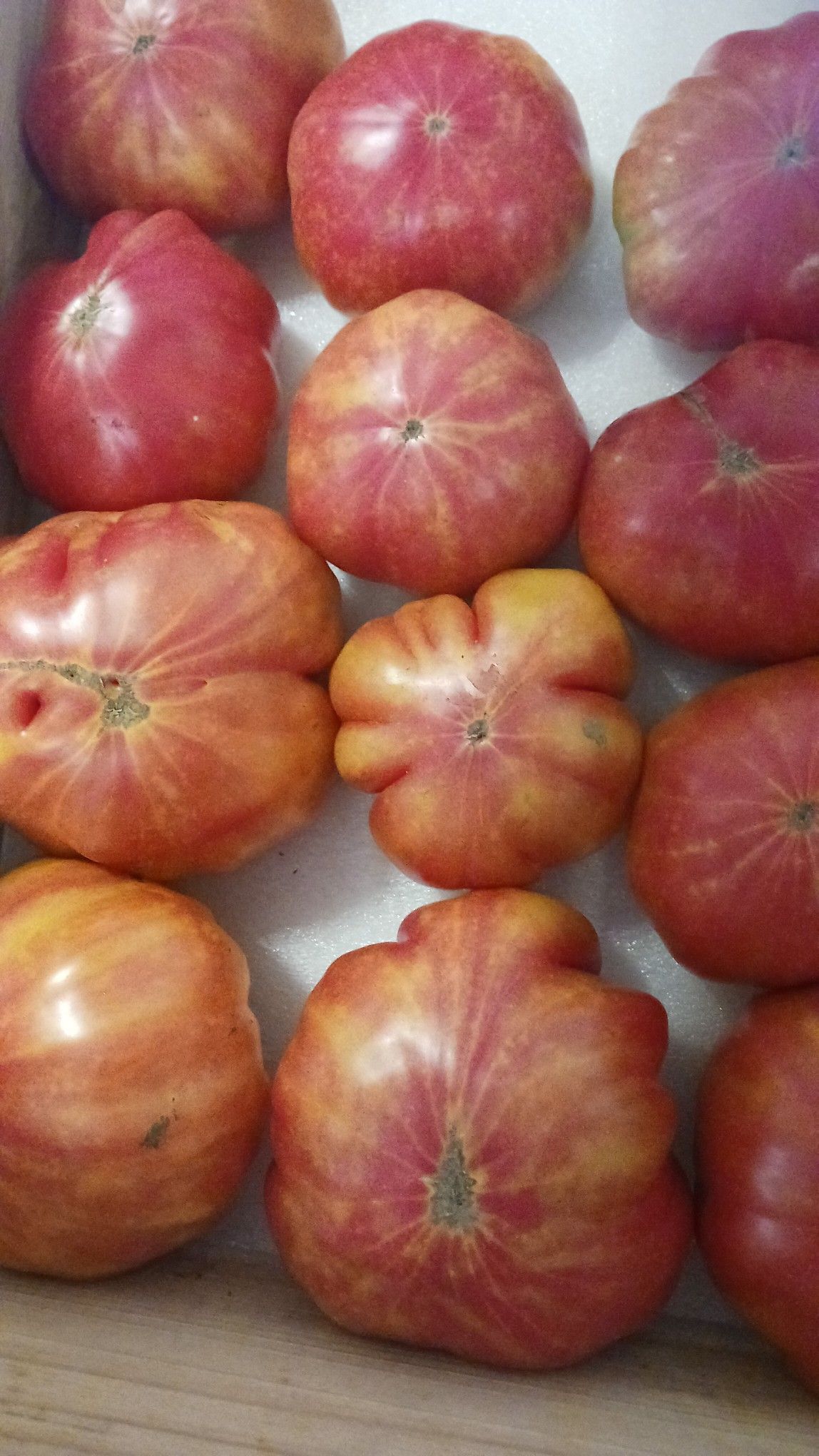 Box of ripe, heirloom tomatoes; red and yellow-orange with irregular shapes.