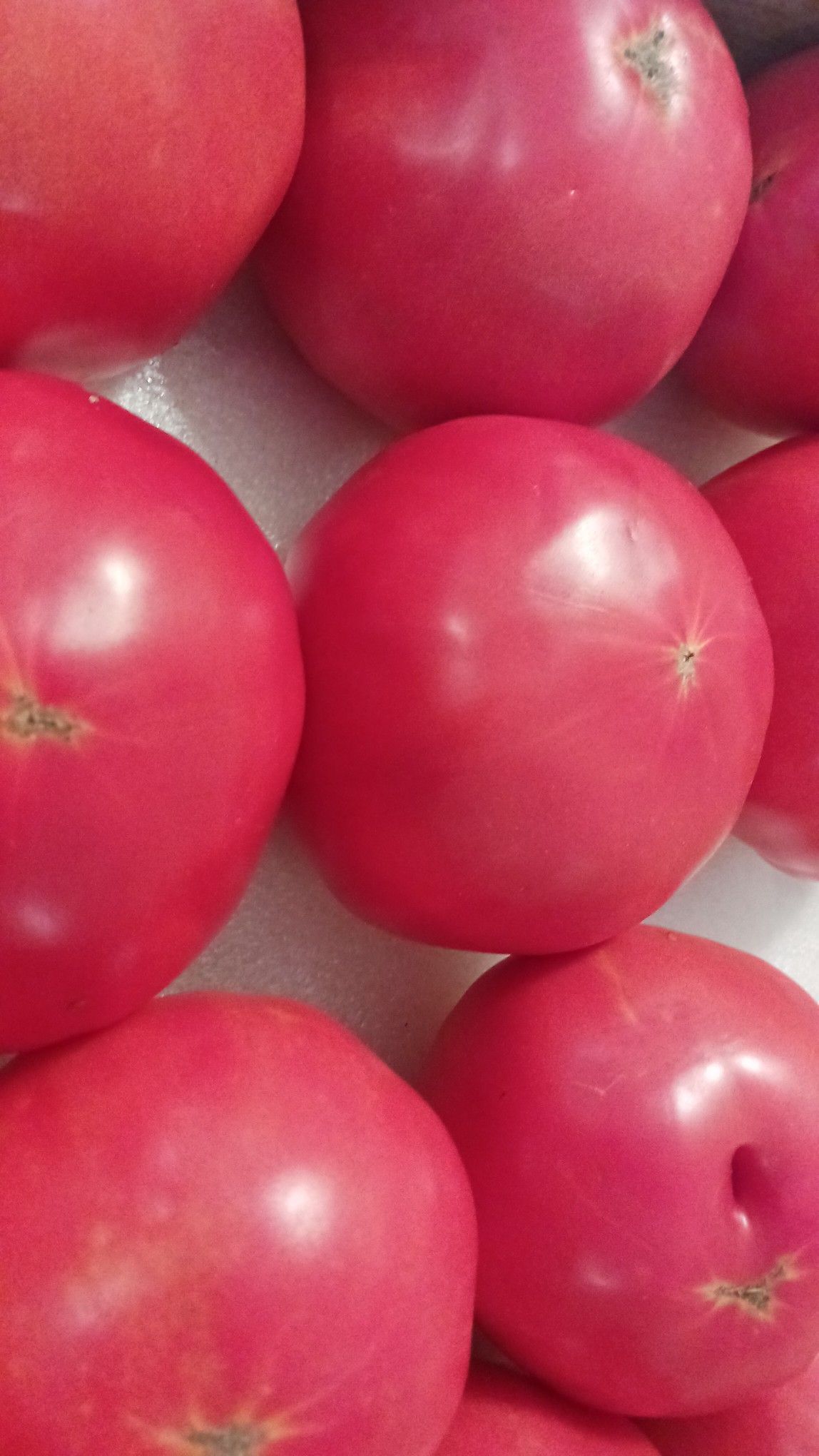 Close-up of several bright red, round tomatoes, possibly fresh from a market.