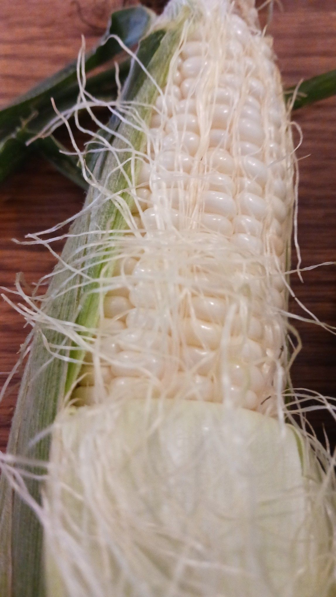 Partially husked ear of white corn, with silks visible.