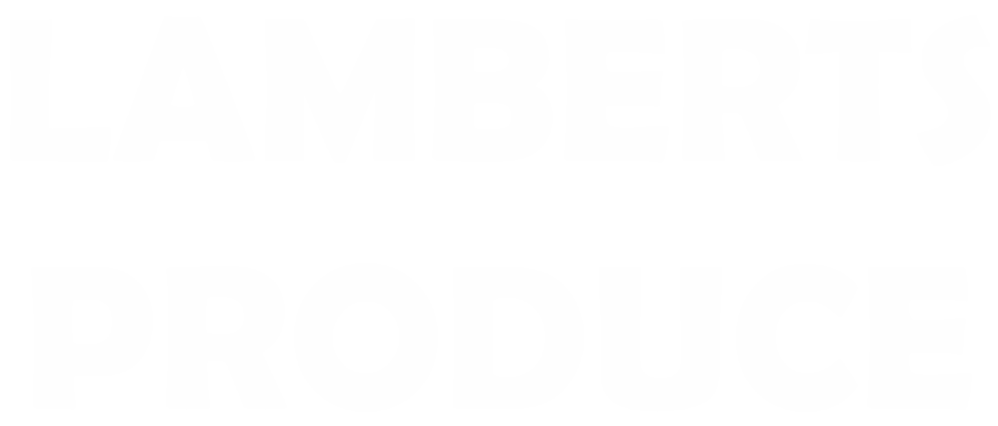 White text on a white background.