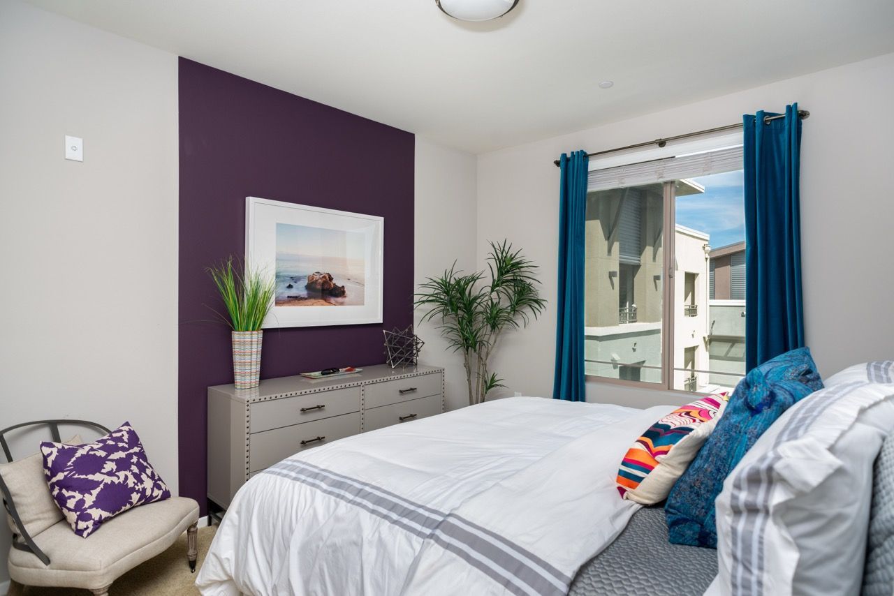 Bedroom in an apartment with a purple accent wall, dresser, plants, and a window with blue curtains.