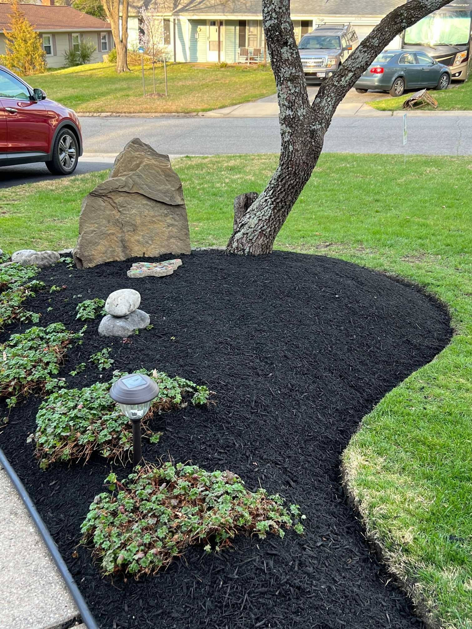 Black mulched garden bed with rock feature, green plants, and tree in a front yard.
