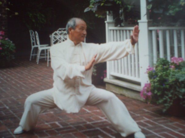 Master Lu Jun Hai Mizong quan