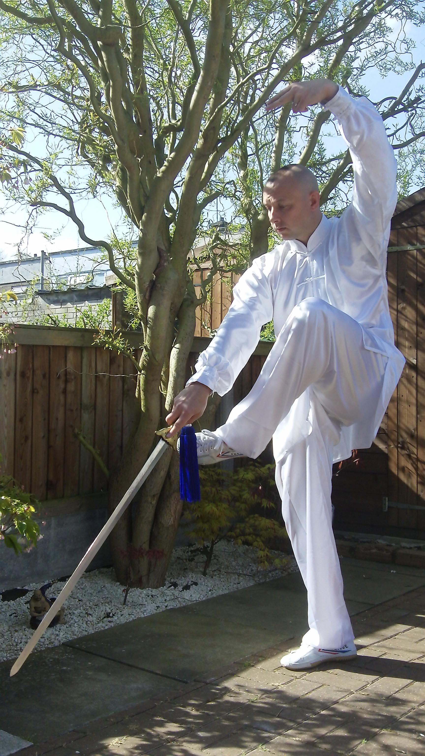 Master Lu Jun Hai Yang Tai Chi
