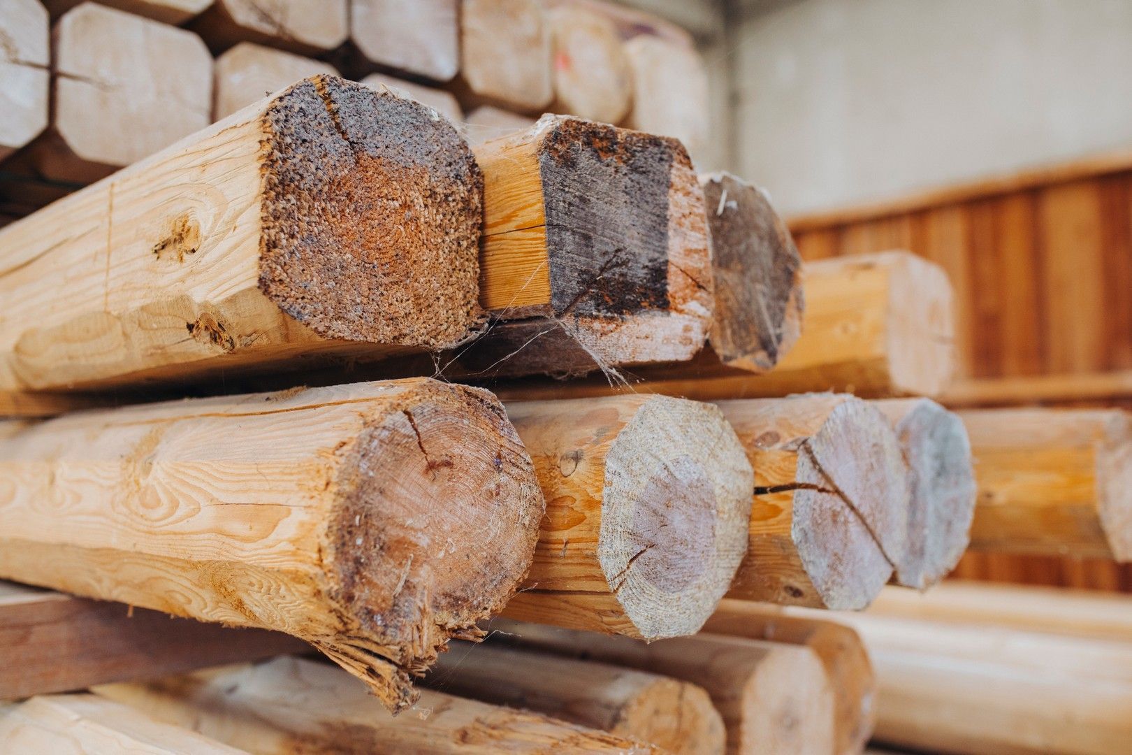 Tronchi di legno tagliati e impilati in una pila, che mettono in risalto le venature finali.