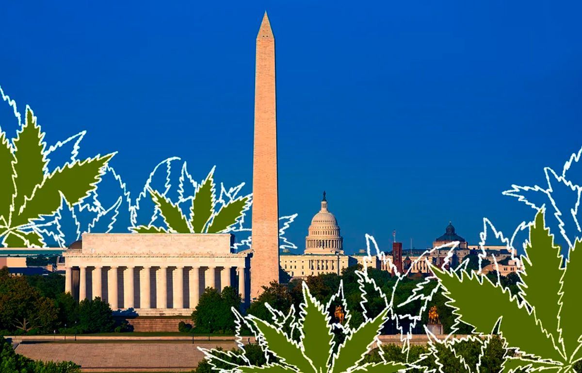 DC marijuana gifts